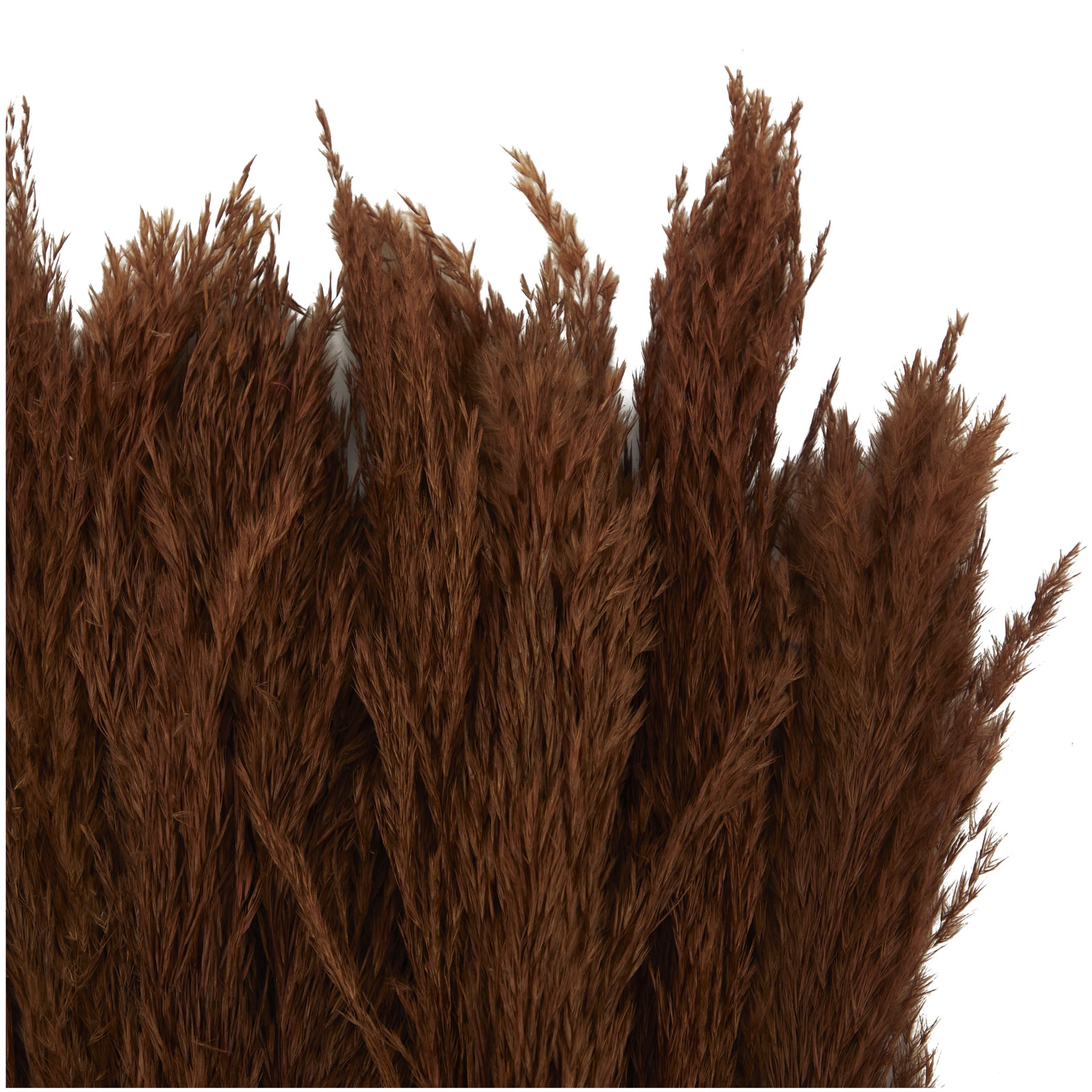 35″ Dried Plant Natural Foliage Pampas Bouquet with Long Stems,