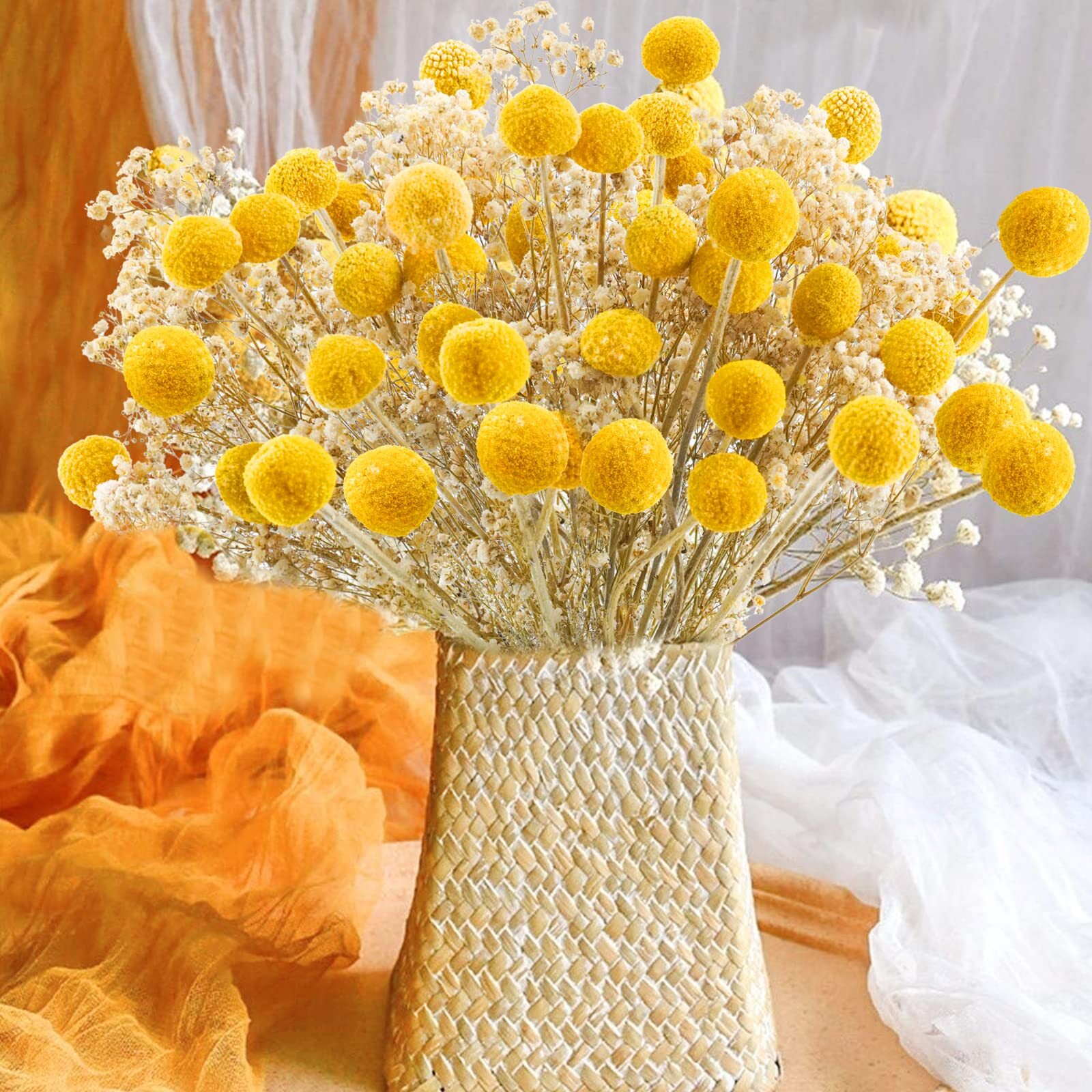Uieke 30Pcs Natural Dried Flowers Craspedia Billy Balls Flowers Billy Buttons