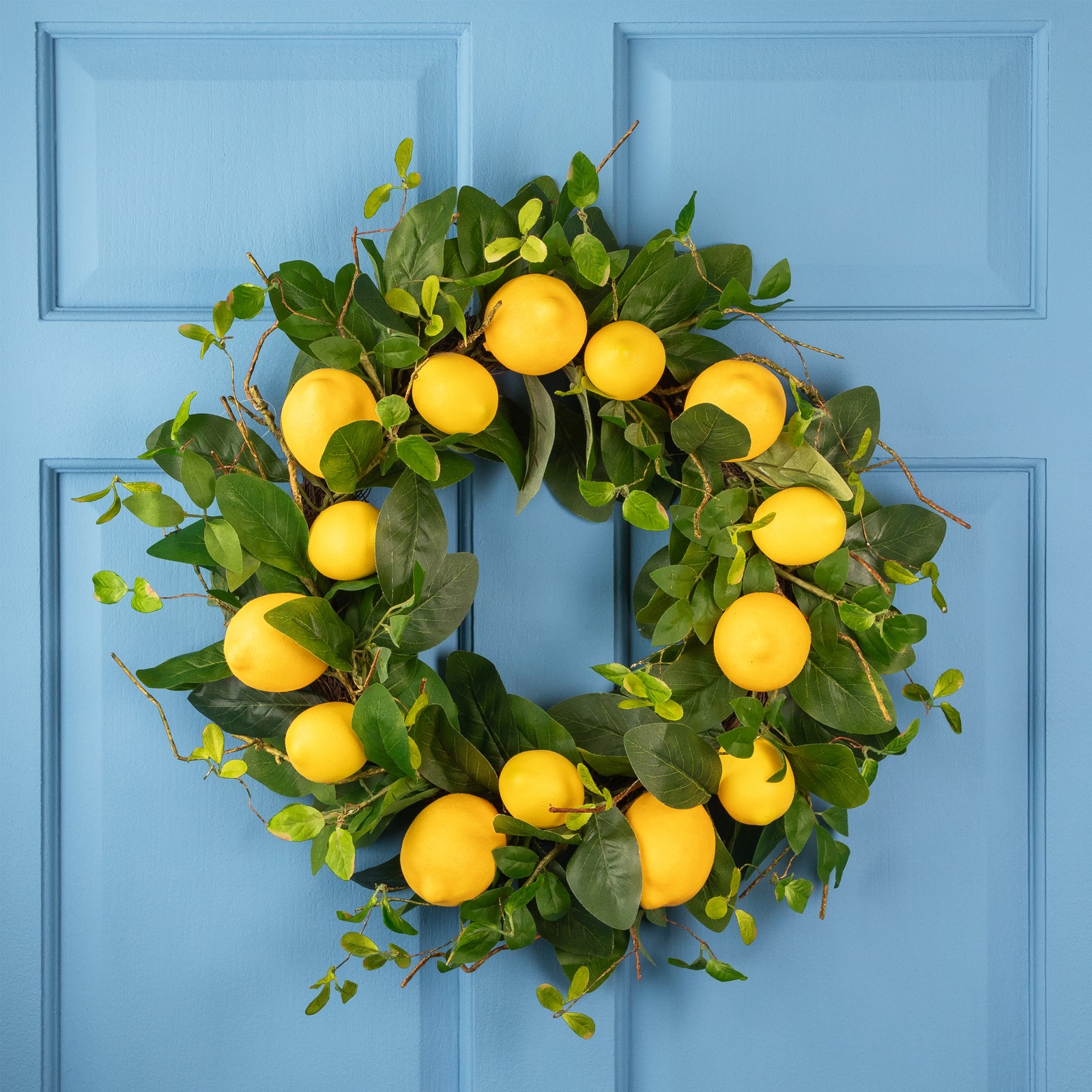 Northlight Lemons and Assorted Foliage Spring Wreath, Yellow and Green 20-Inch