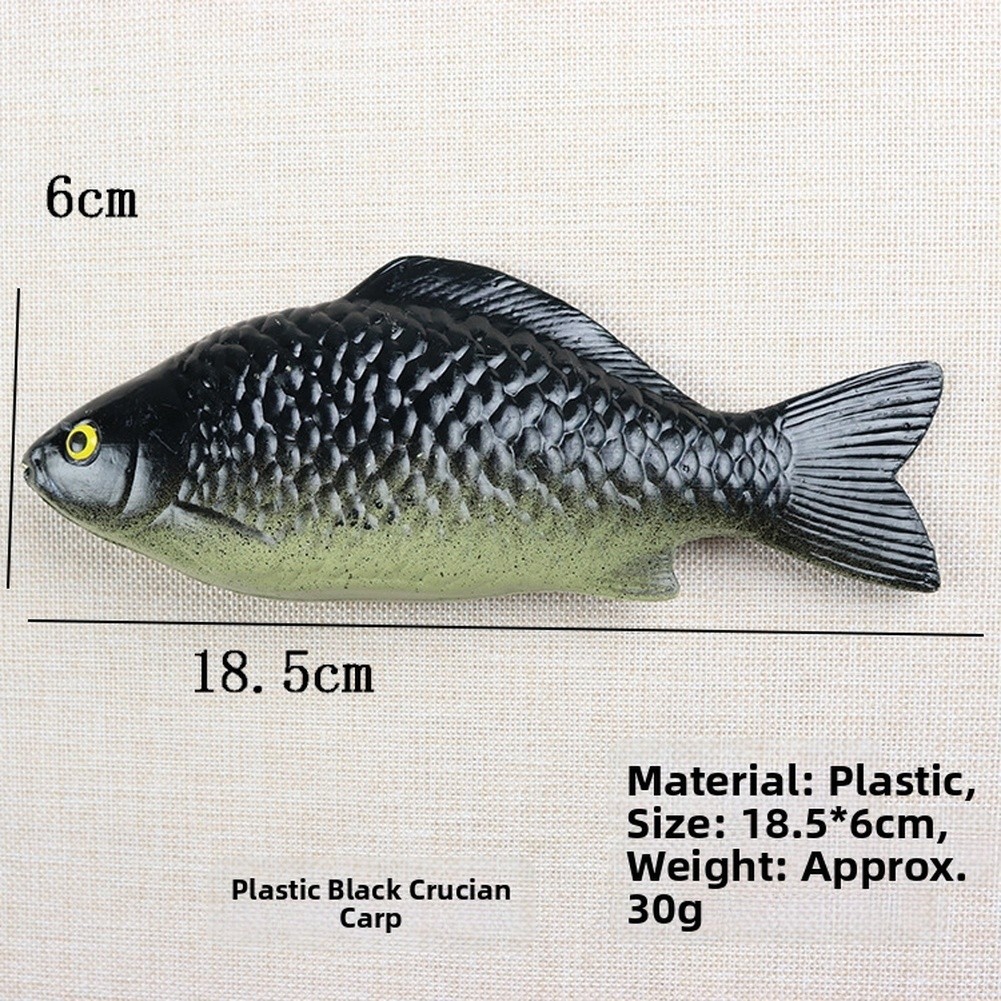 Carp Fish Decor Toy Plastic 18.5cm x 6cm Lightweight for Styling Setup