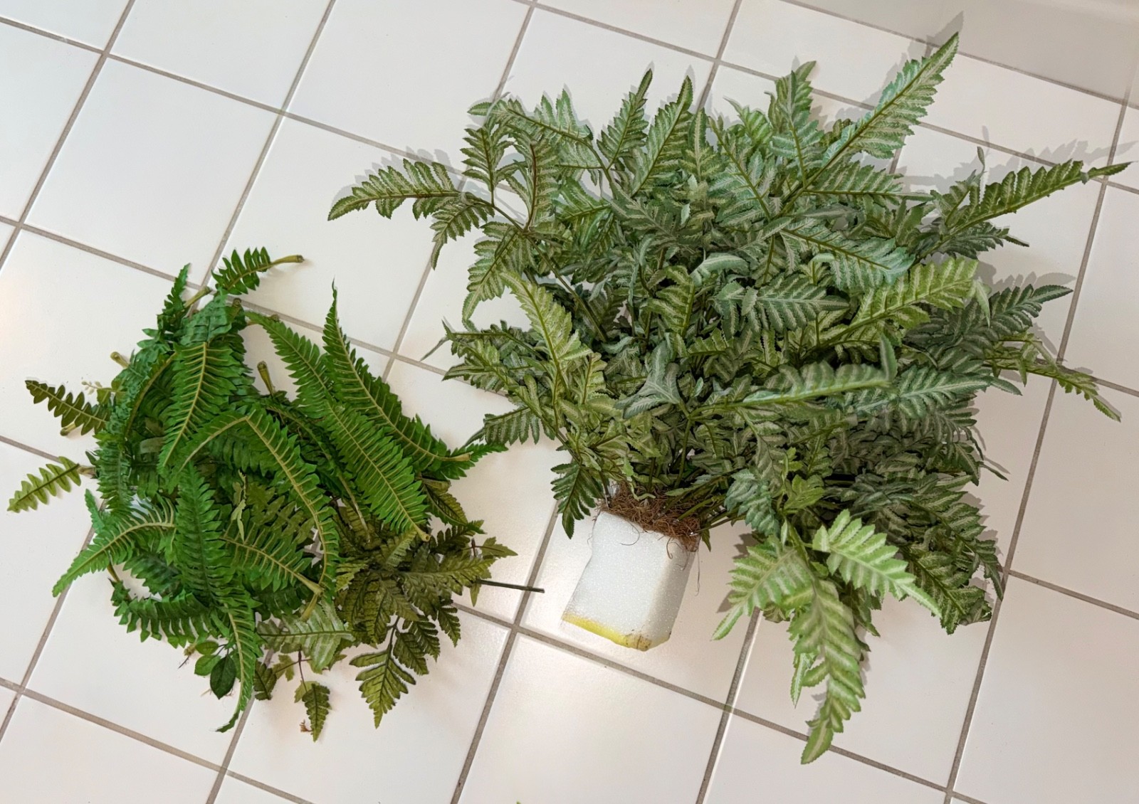 Artificial 2’ Green Fern Plant Leaves Silk Fake Faux Arrangement