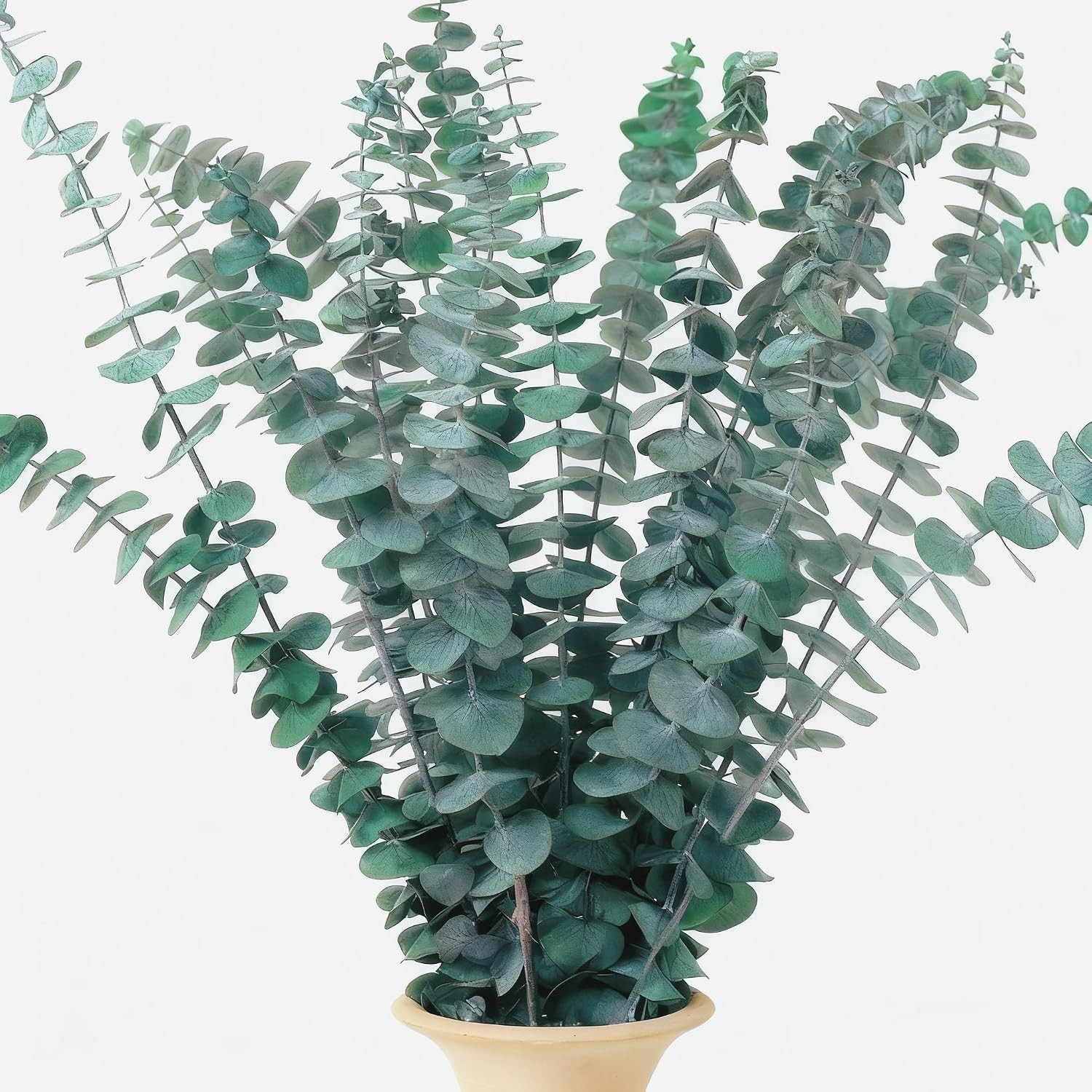 16 PCS Dried Eucalyptus Stems, 17″ Real Preserved Eucalyptus Bouquet for Wedd…