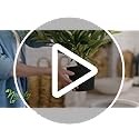 Nearly Natural 4ft Golden Cane Palm Artificial Tree Faux Tropical Plant Indoor