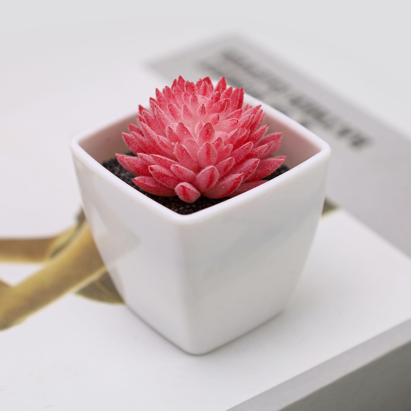 Mini Artificial Succulent Plants Fake Plastic Potted Succulents White 6 PCS