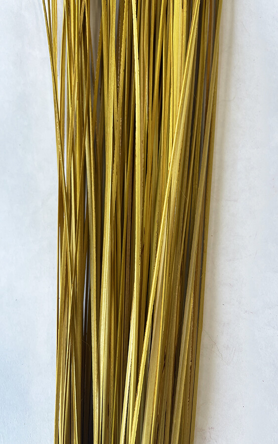 Wispies Pack of 100 Stems 4-5ft Yellow