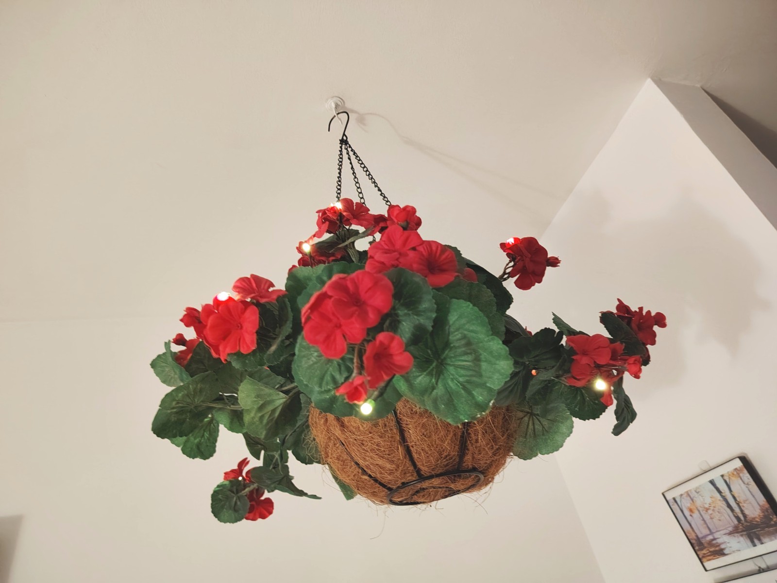 Flowering Geranium Artificial Plant Hanging Basket, Pelargonium W/ Lights, 24″