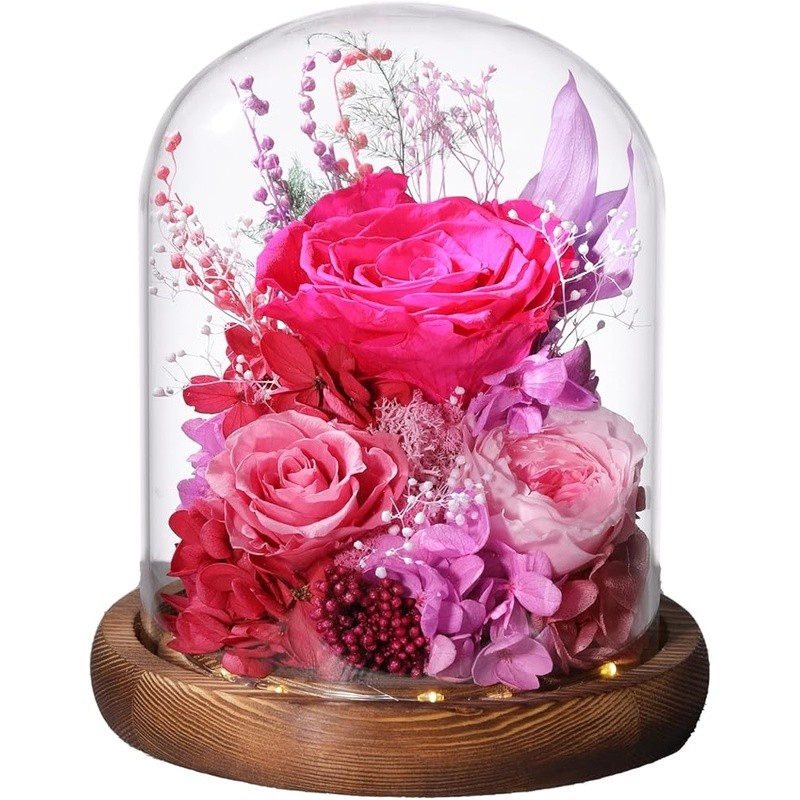 Long Lasting Preserved Roses in Glass Dome W/ LED Lights Unique Gift Idea New