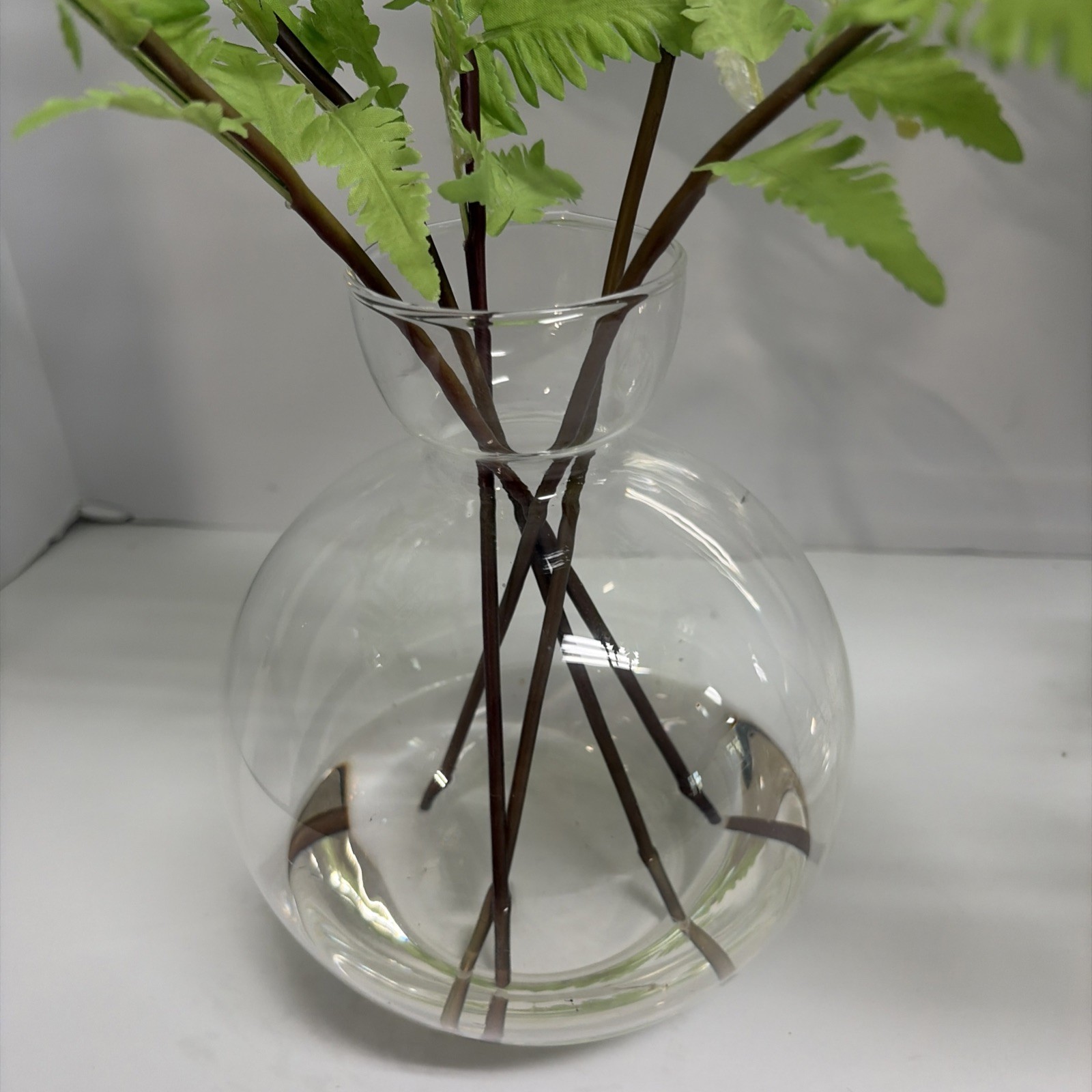 Uttermost Country Ferns and Glass Vases (Set of 2)