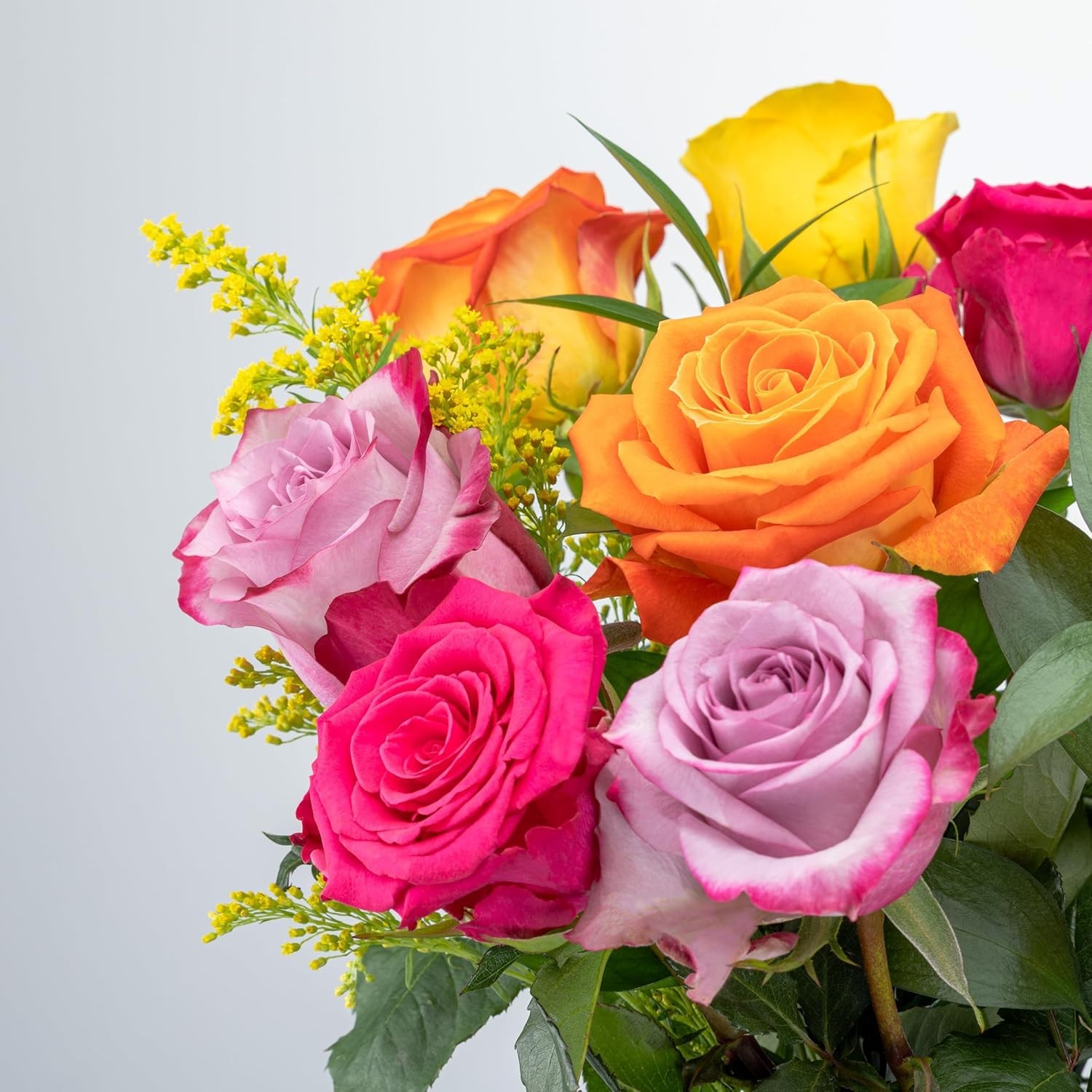 12 Long Stemmed Rainbow Roses with Glass Vase for Birthday Anniversary Gift