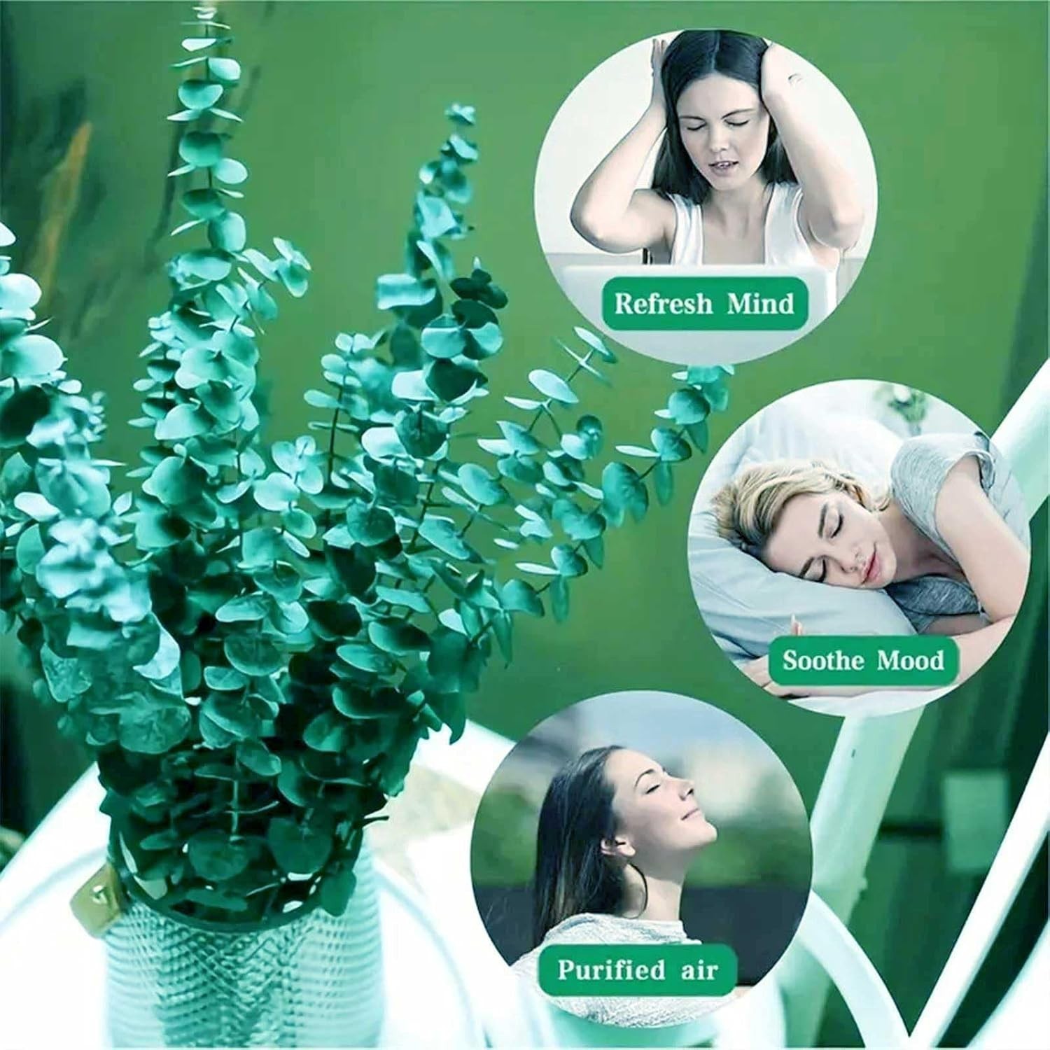 12Pcs Dried Eucalyptus Stems for Shower 17″ Natural Preserved Dried Eucalyptu…