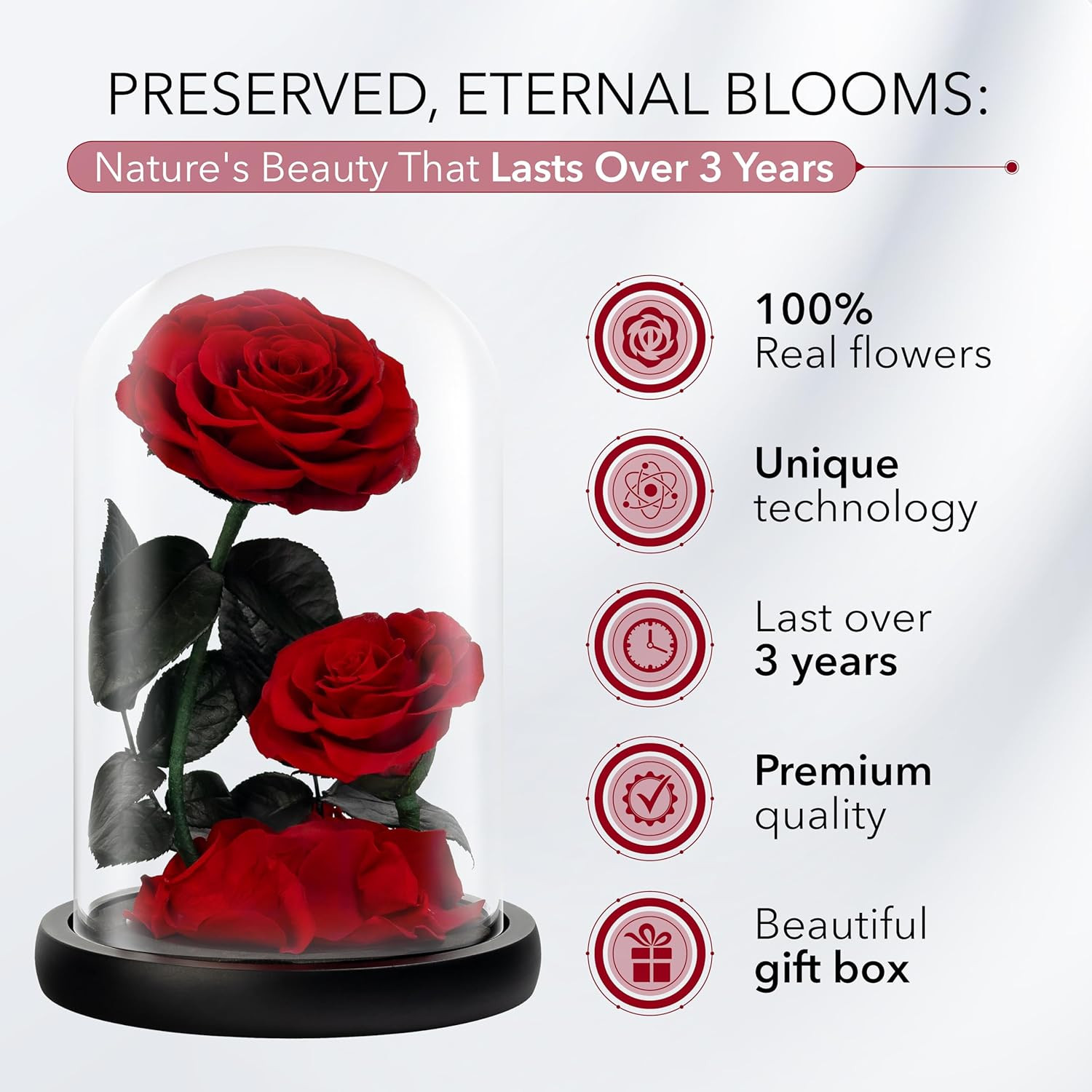 Eternal Flower in a Glass Dome: Preserved Rose – the Perfect Forever Infinity Ro