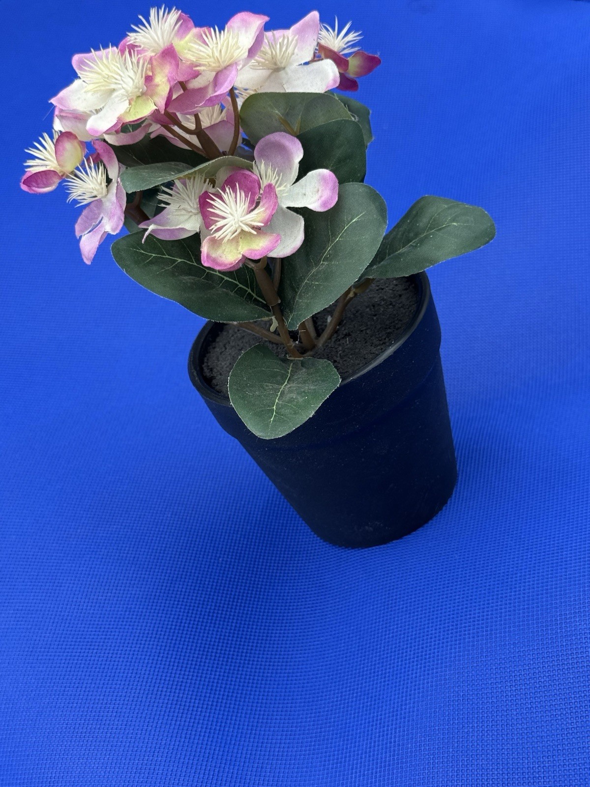 Potted Flower Lavendar preowned nice looking window table or bed flower.