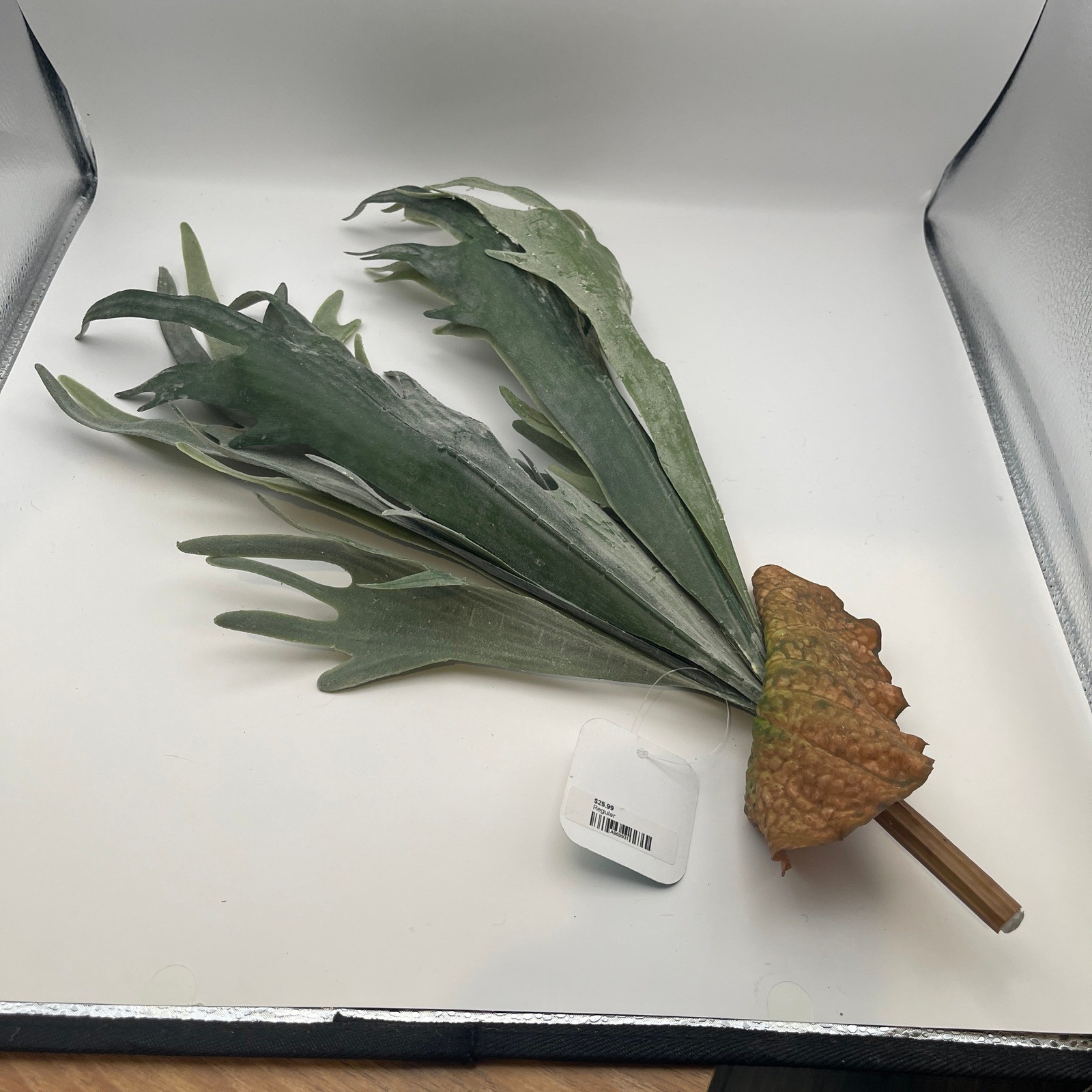 Faux Staghorn Fern Spray 20.5 Inch Artificial Tropical Platycerium Greenery Stem