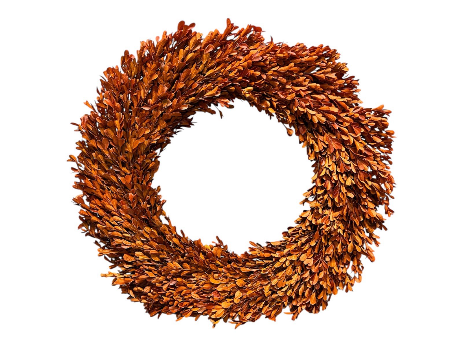 24 Inch Real Preserved Boxwood Natural Wreath Fall Decor Thanksgiving