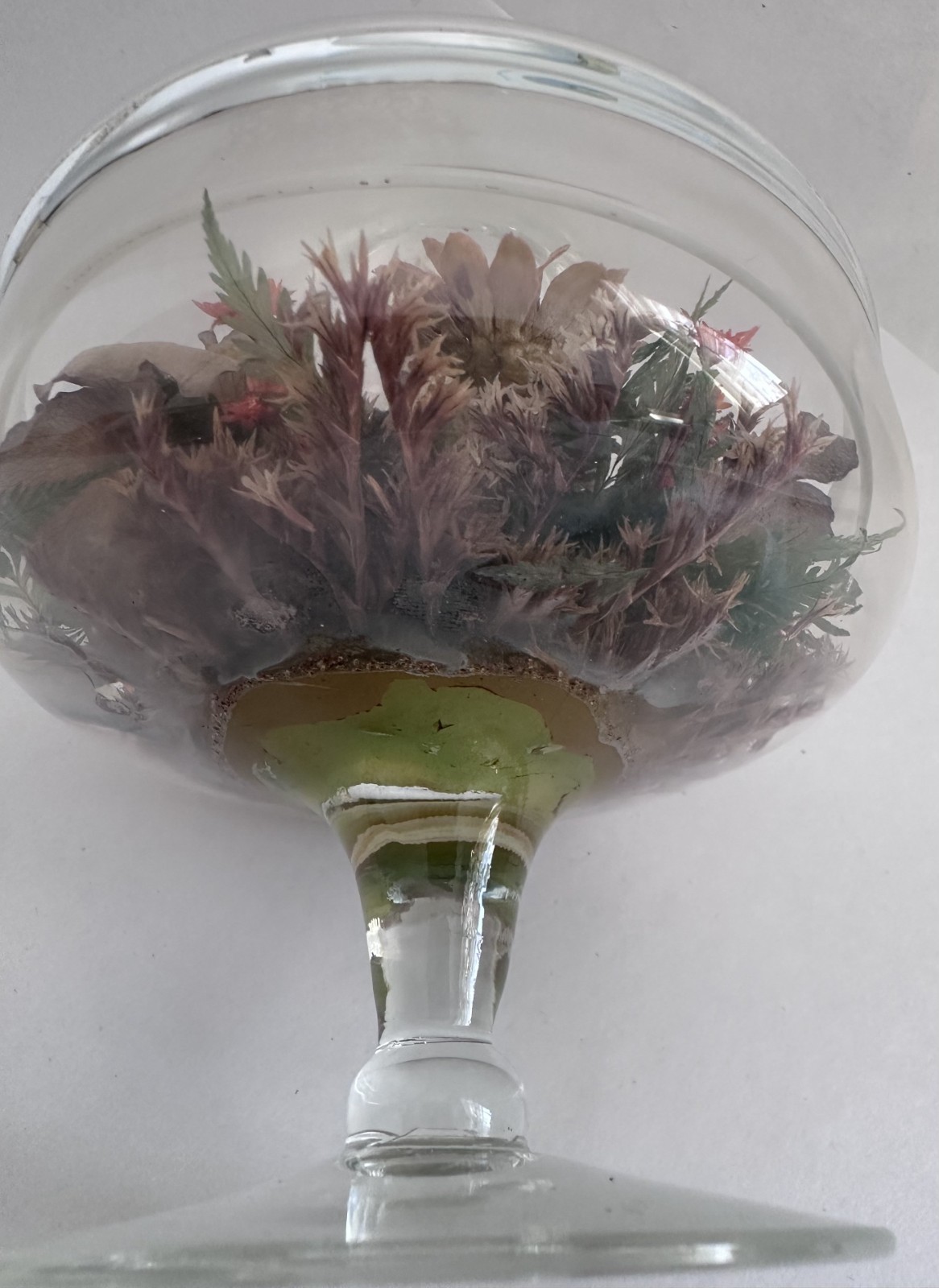 Vintage Glass Cloche Terrarium Butterfly Dried Flowers Pedestal Dome Display