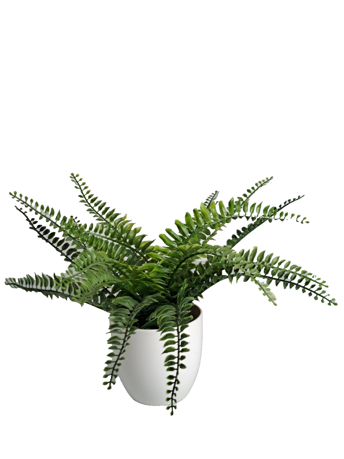 Artificial Decorative Faux Boston Fern 4″ Potted Plant