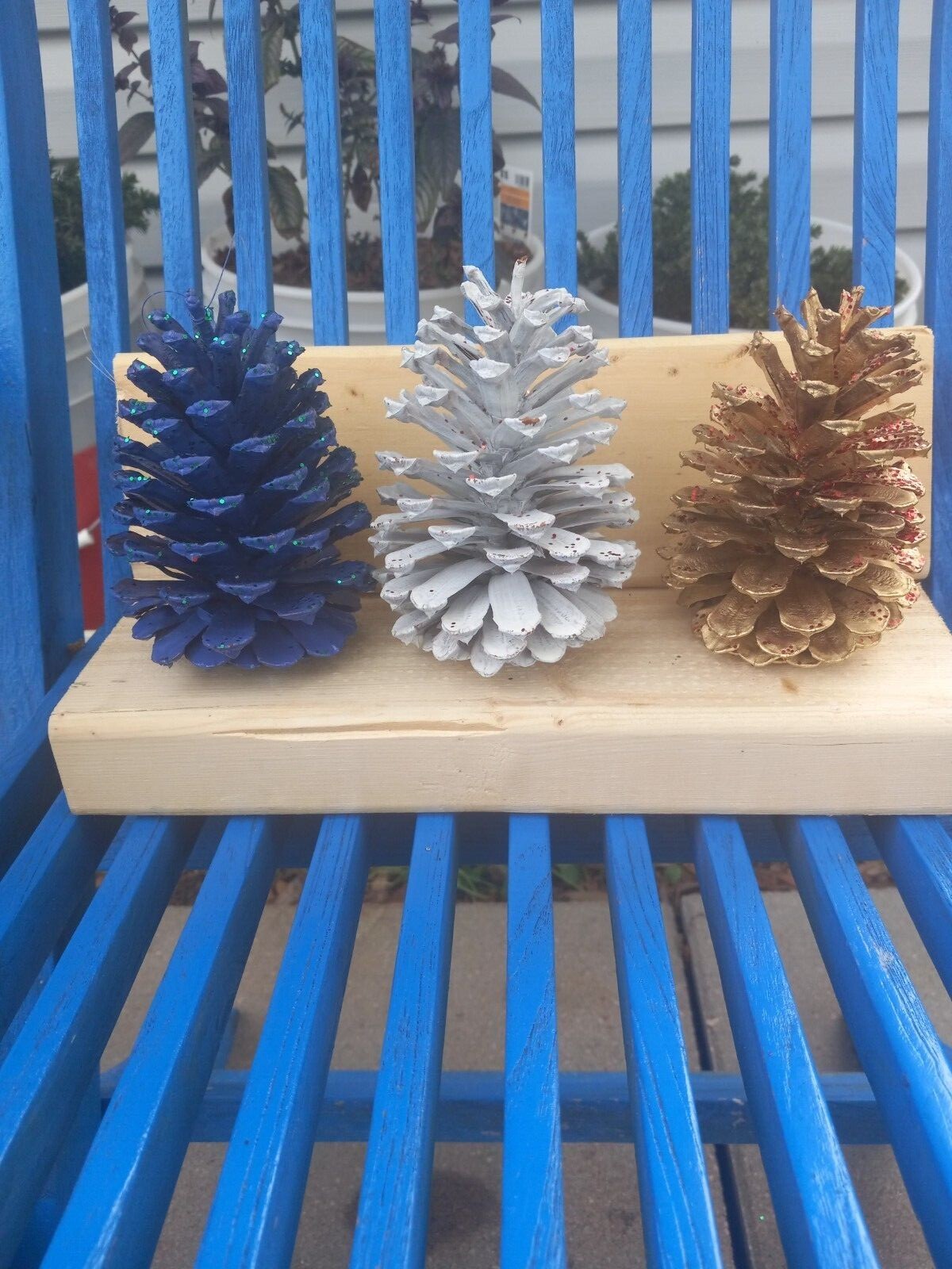 Hand painted pinecones,  various colors.  Set of 6 or 12. Fun holiday decor.