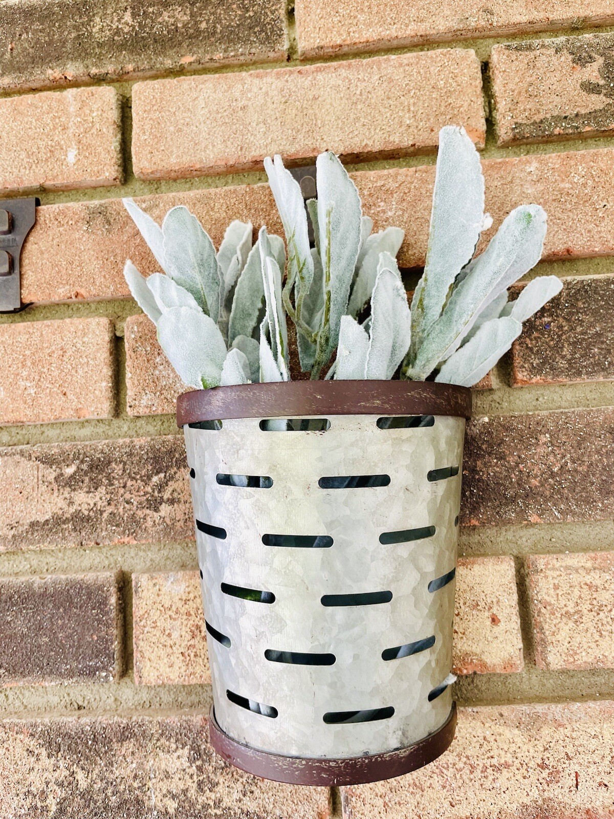 Frosted Lamb’s Ear Pick, 15” Bundle Of 3 Floral Arrangements Greenery New