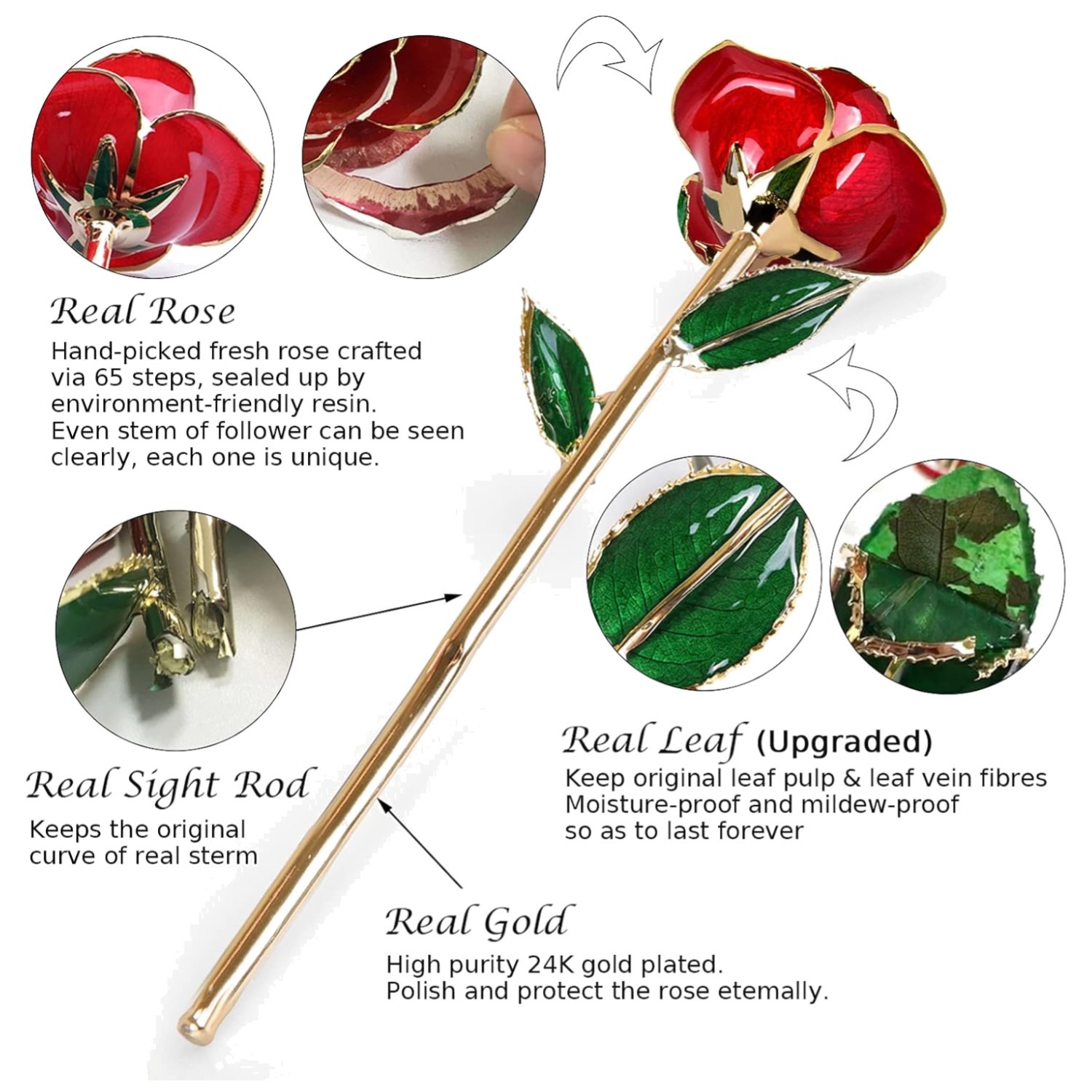Romantic Gold Rose Dipped in 24k – Perfect Anniversary Gift