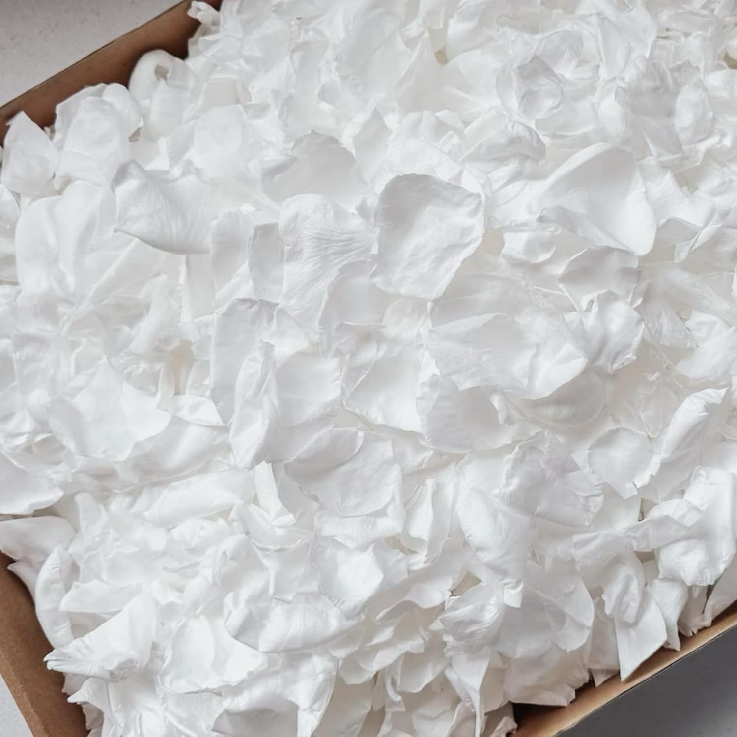 300 PCS Real White Rose Petals for Wedding 2.82oz Fresh Rose Petals for Flowe…