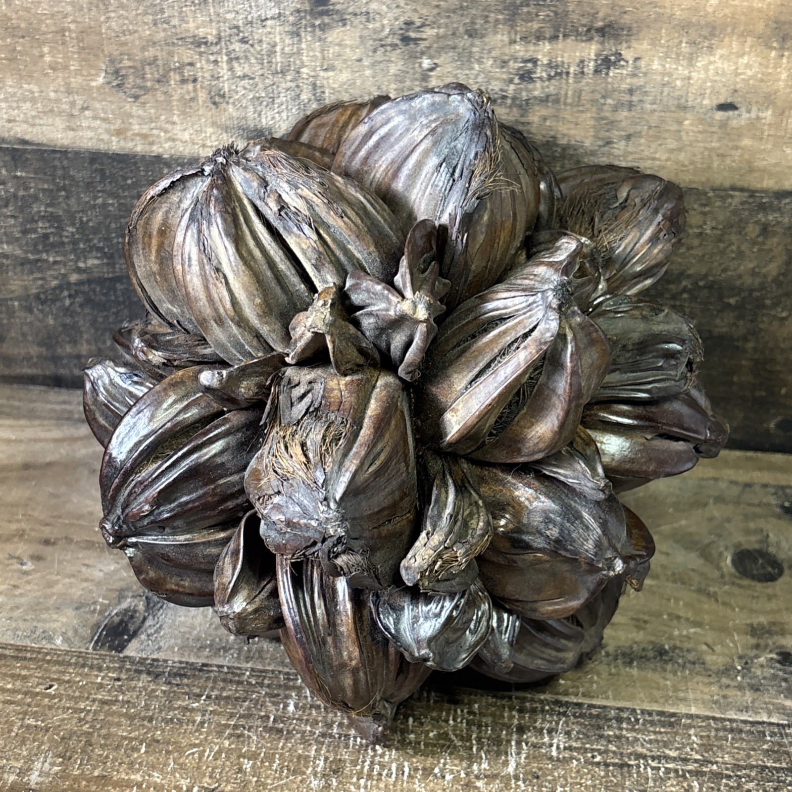 Vietnamese Water Coconut Nipa Palm Fruit Cluster Seed Pod Decor Decoration