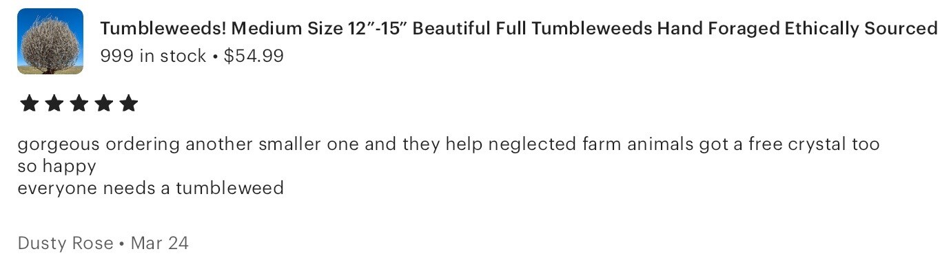 Tumbleweeds ! BEST and FULL LARGE Size! 16”-19” Natural Western Decor Nevada USA