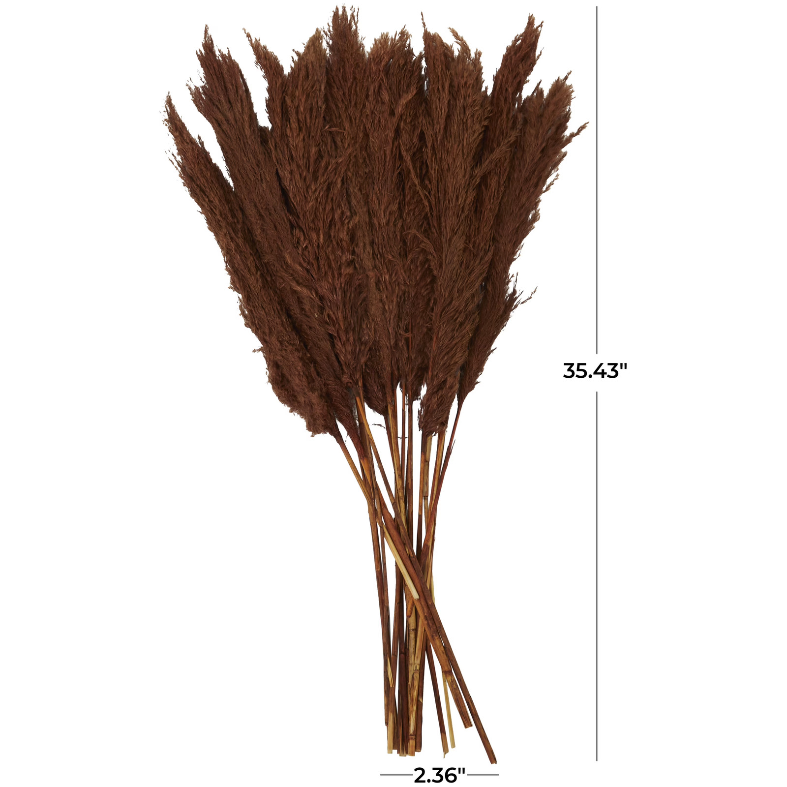 35″ Dried Plant Natural Foliage Pampas Bouquet with Long Stems,