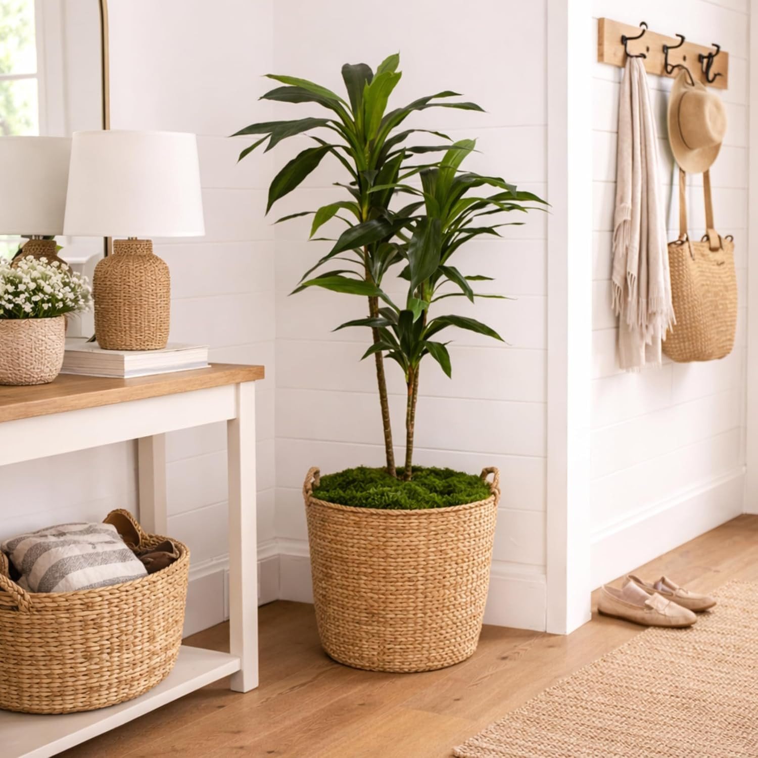 Nearly Natural 48In Artificial Dracaena with Real Touch Leaves and Multi Tonal T
