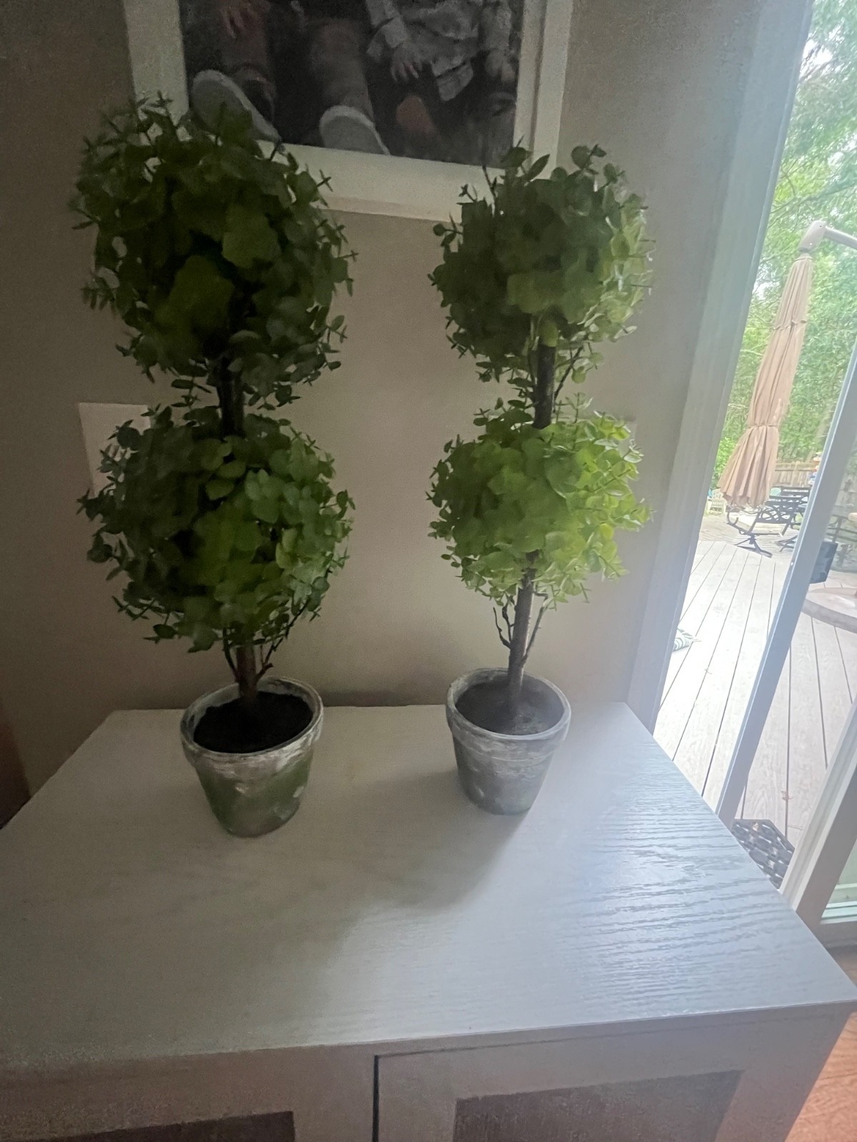 Faux boxwood topiary trees Set of 2, 23 inches in height