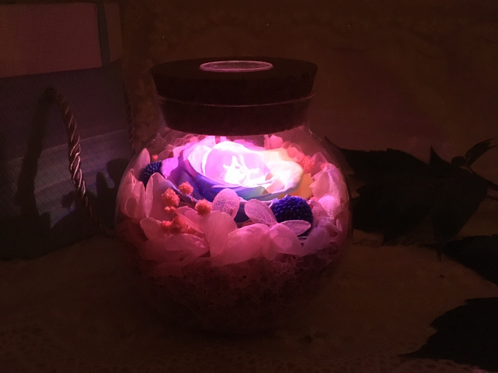 Sanran Forever Eternal Real Preserved Rose With Led Mood Light Valentine Gift