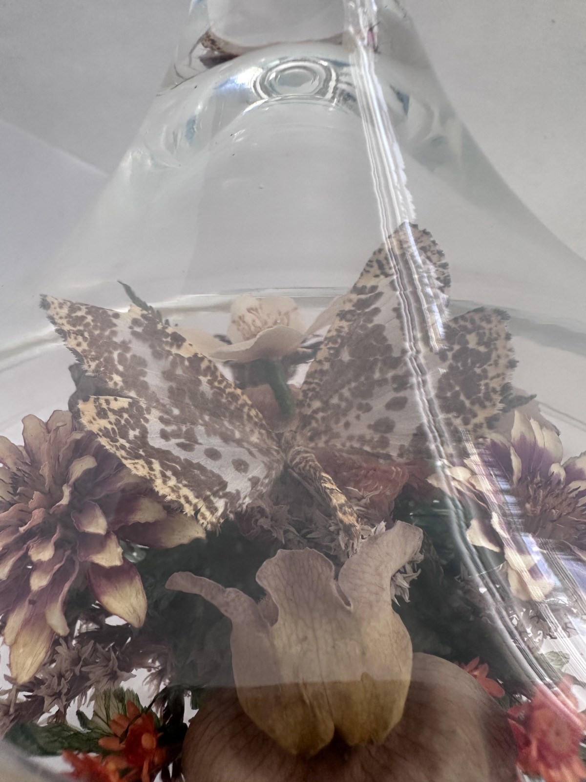 Vintage Glass Cloche Terrarium Butterfly Dried Flowers Pedestal Dome Display