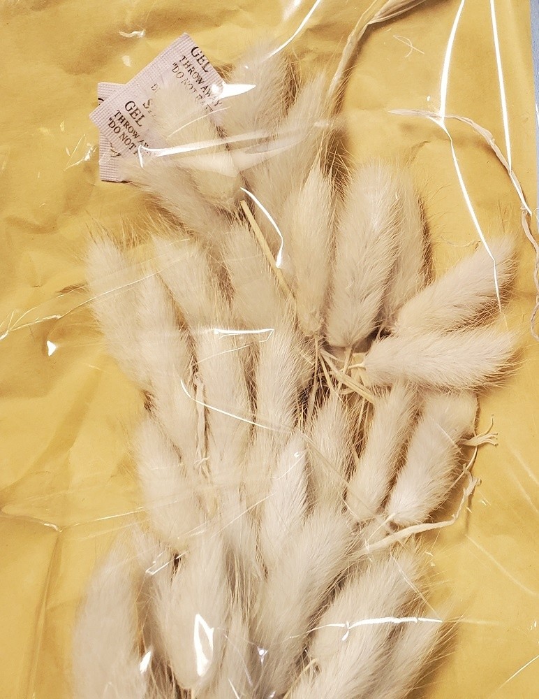 Mud Pie E3 Home Easter Décor Preserved Bunny Tail Stalks Stem 17″ 40940090 Gray