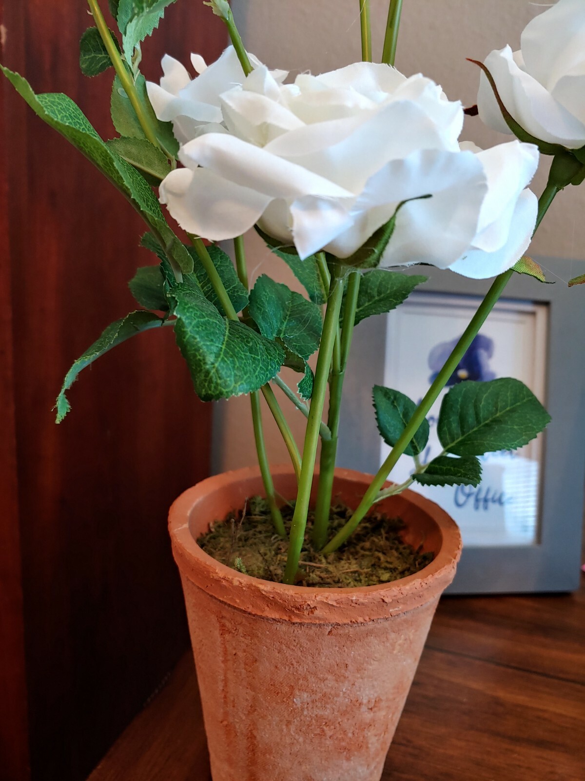 NEW Pottery Barn Faux White Roses in Terra Cotta Pot!! SOLD OUT!!