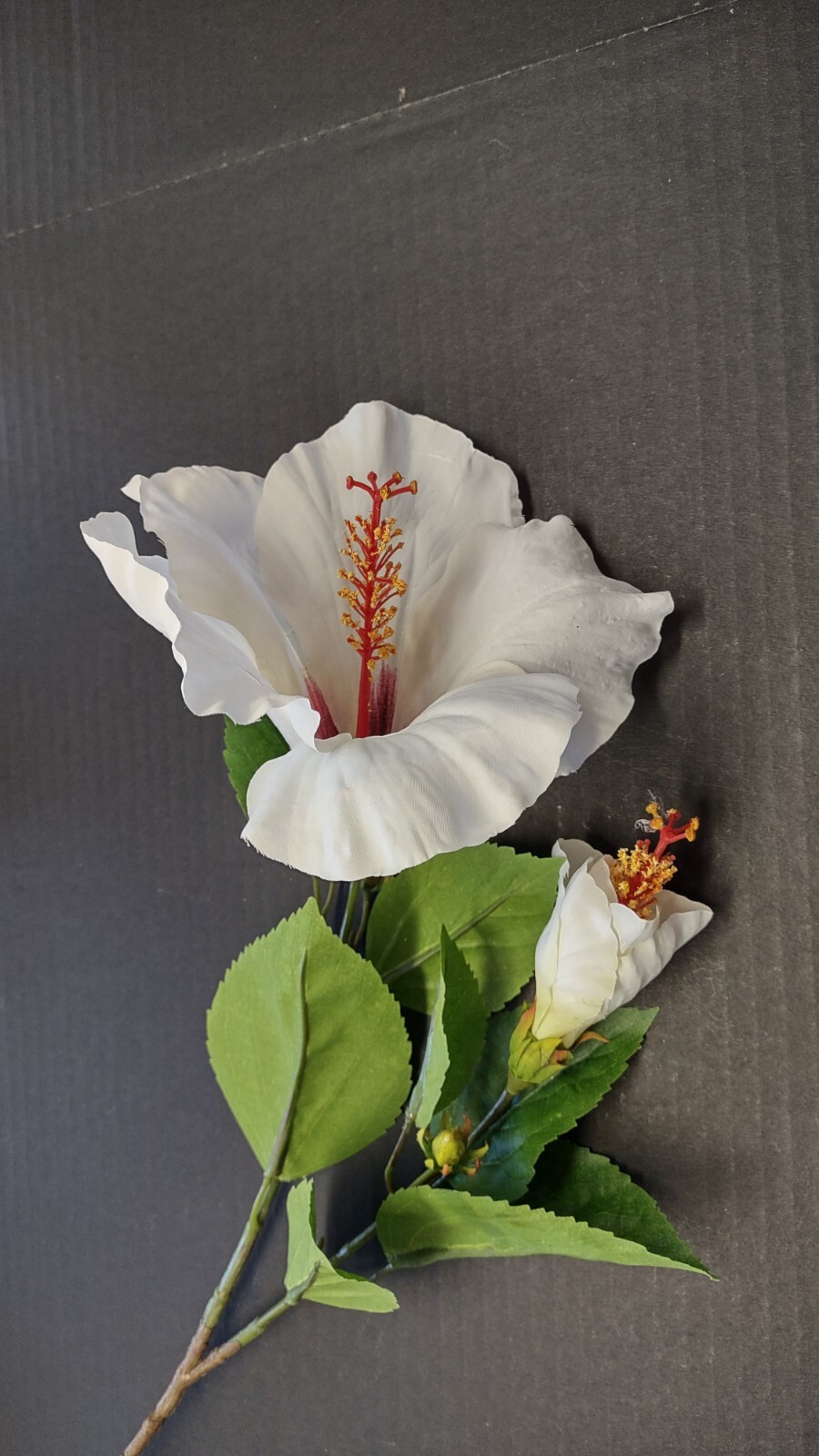 Large Cream Hibiscus stem silk flowers