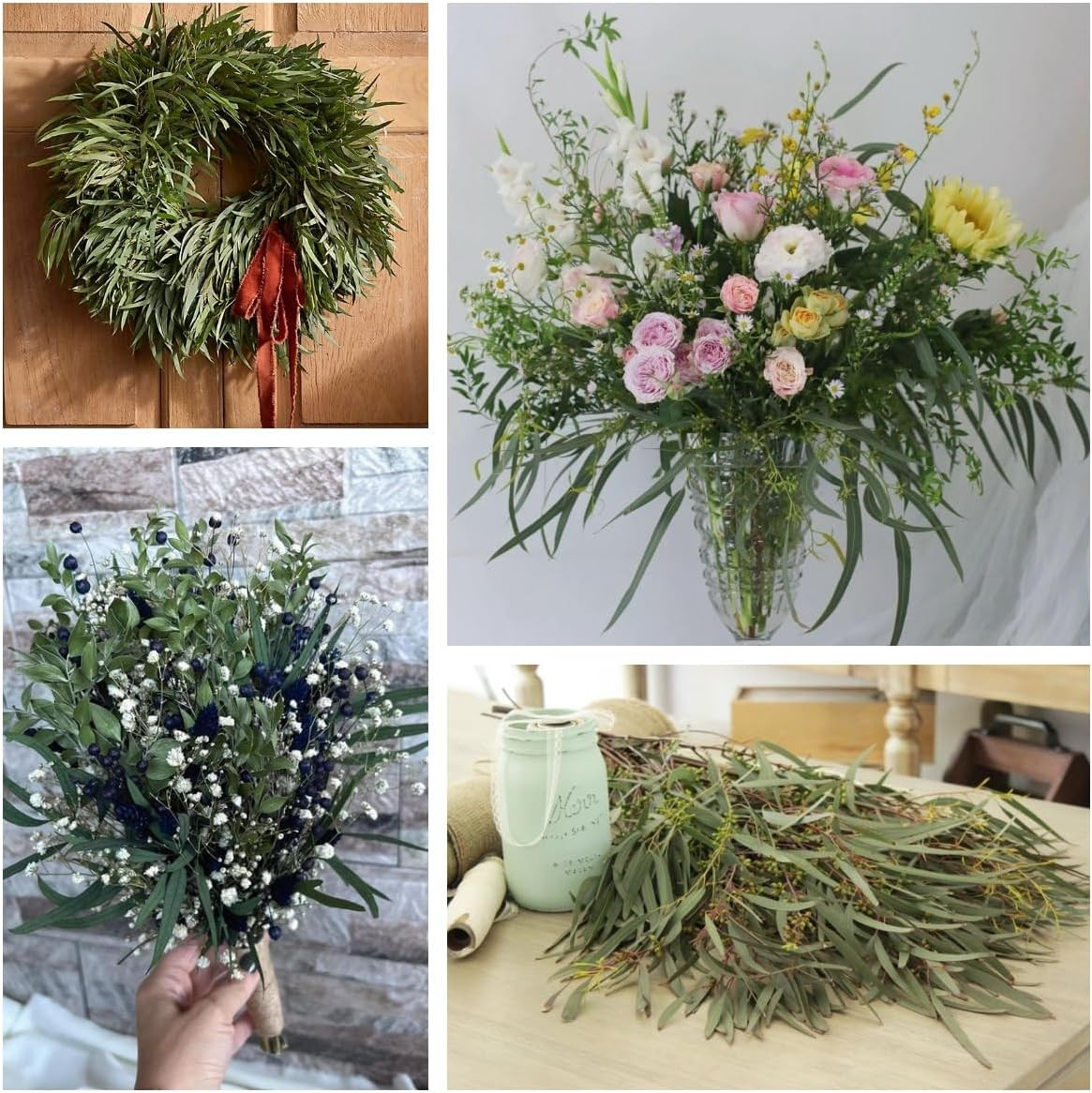 17” Real Dried Seeded Eucalyptus Stems for Shower, Preserved Natural Eucalyptus