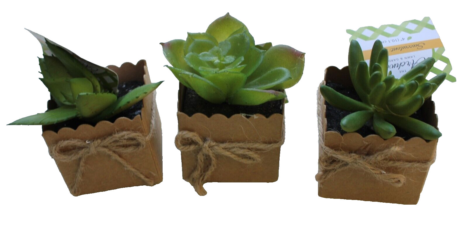 Set of 3 3″ Mini Artificial Succulent Plants in Square Paper 2″x2″ Pots Gift