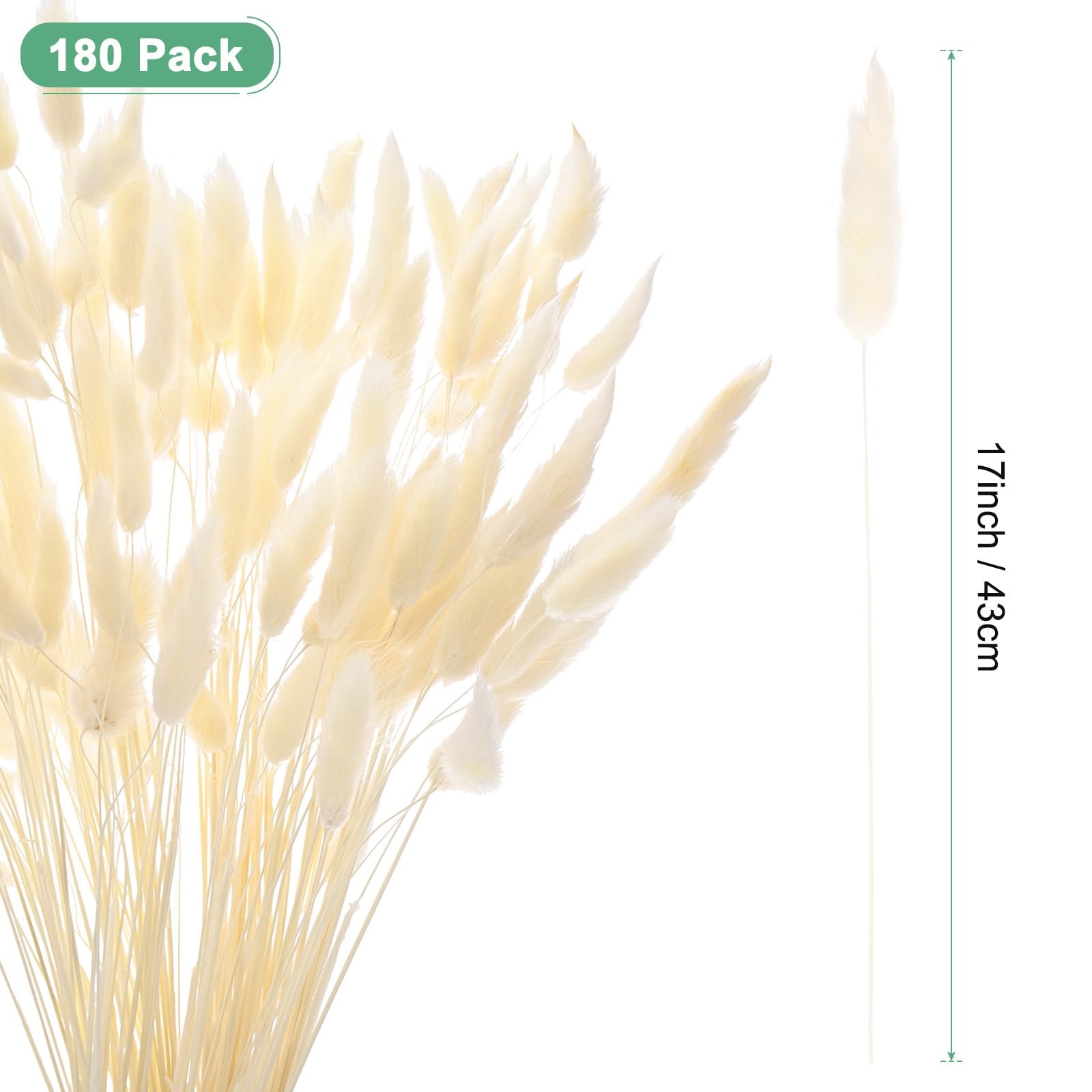 180-Pack Bunny Tails Grass 17 Inch Fluffy Rabbit Tail Grass Dried Flowers Bra…