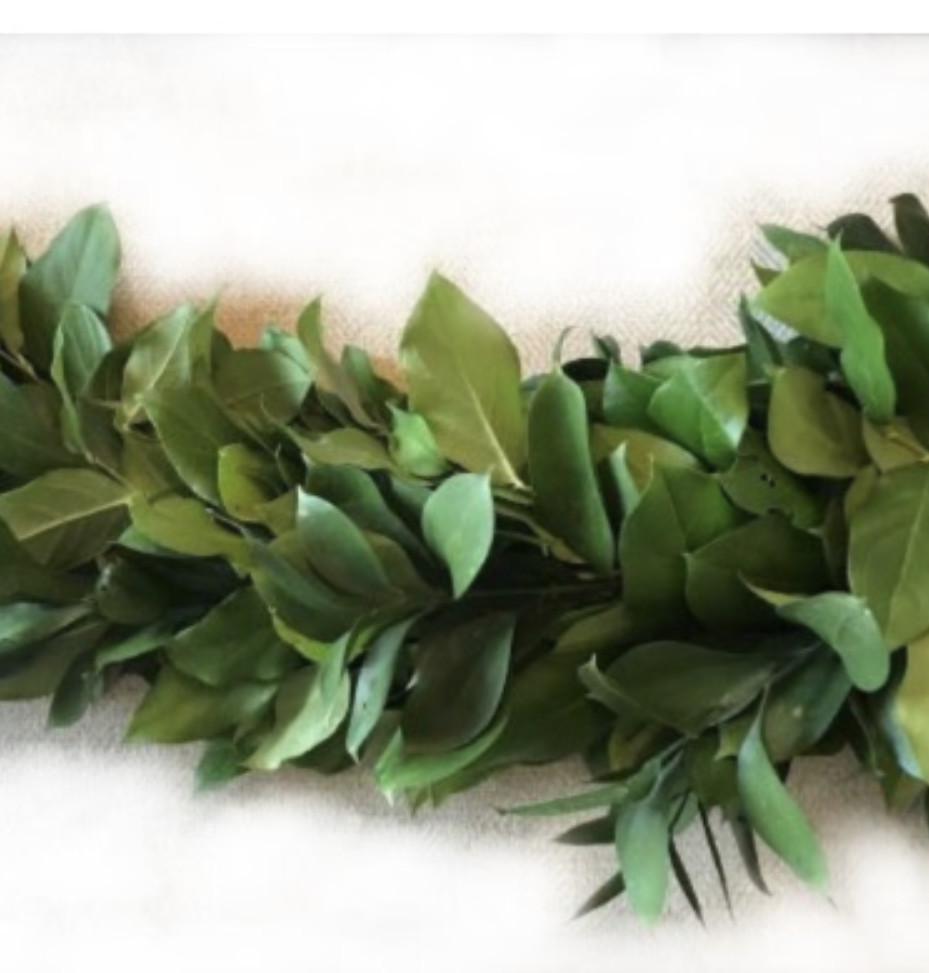 Salal / Israeli Ruscus Garland 10 feet – Premium Quality Fresh Bulk Garlands