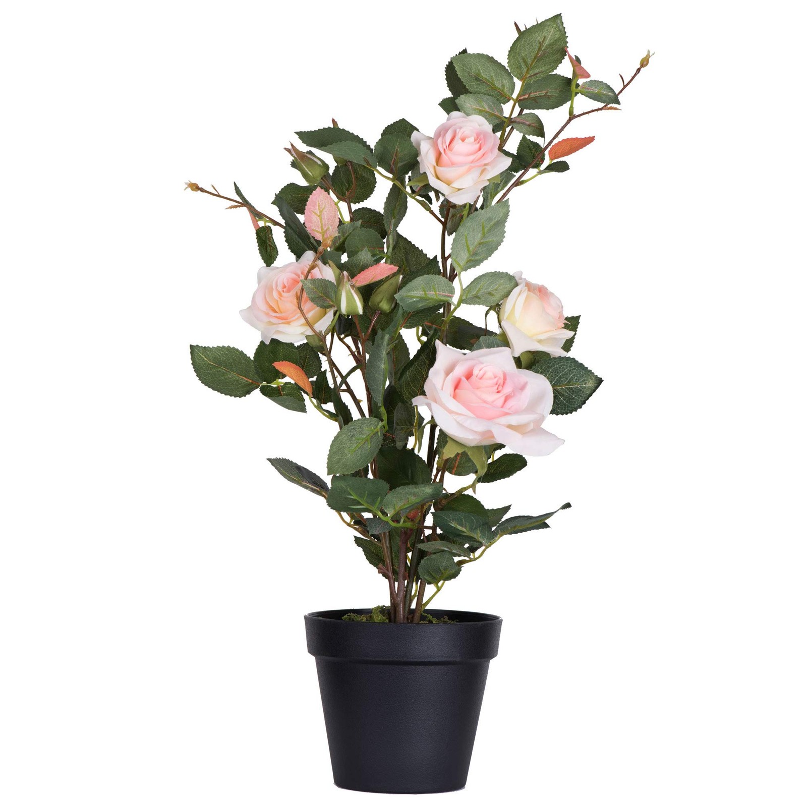 Vickerman 21″ Contemporary Plastic Artificial Rose Plant with Pot in Pink