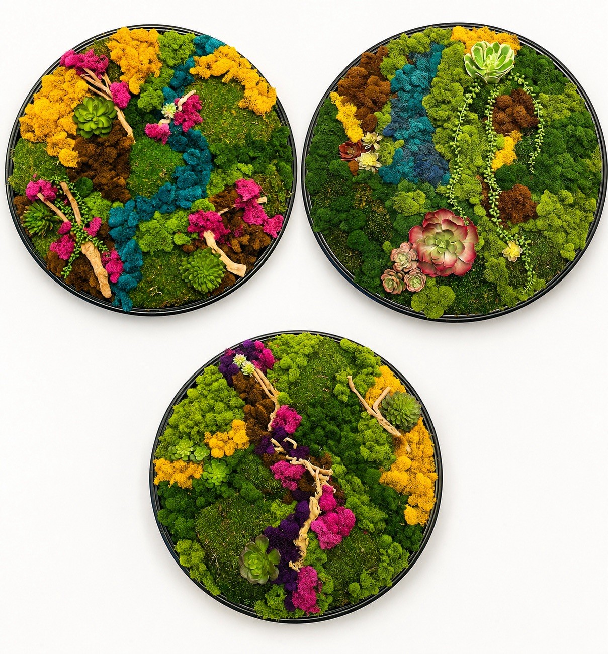 Luxury Handmade Preserved Moss Wall Art | One-of-a-Kind | Modern Botanical Decor