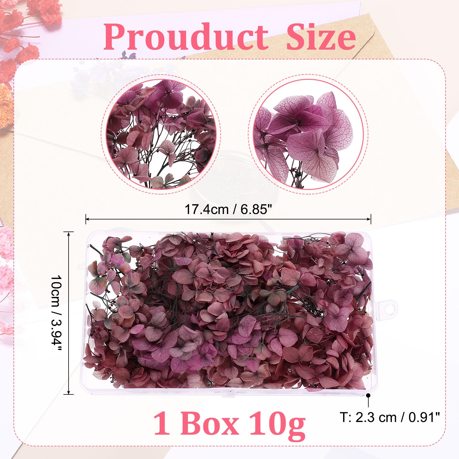10g Mini Dried Hydrangea Flower Natural Pressed Flower Gradient Pink Gray