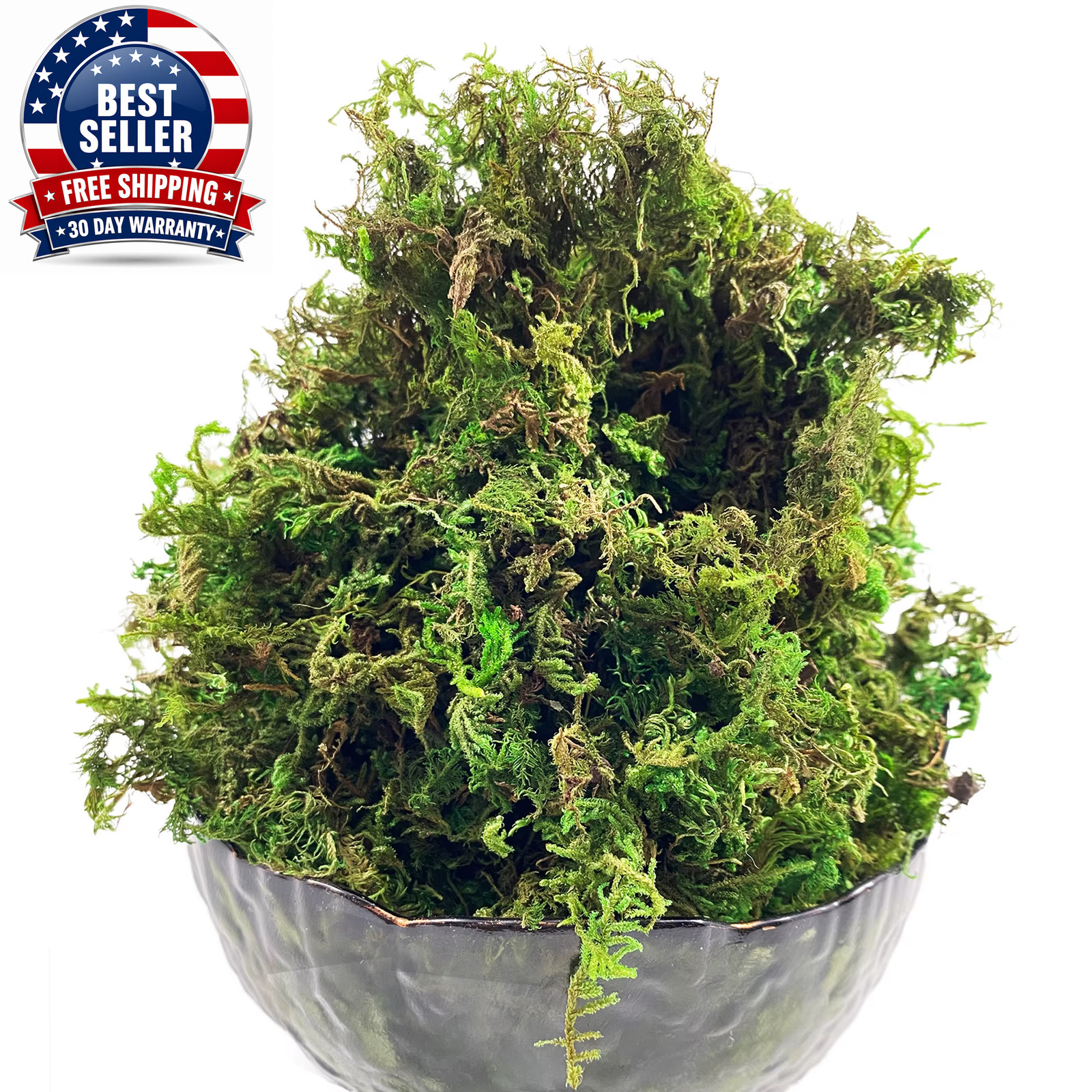 Artificial Moss Green for Potted Plant Orchid Potting Mix Peat Moss Pole Craft