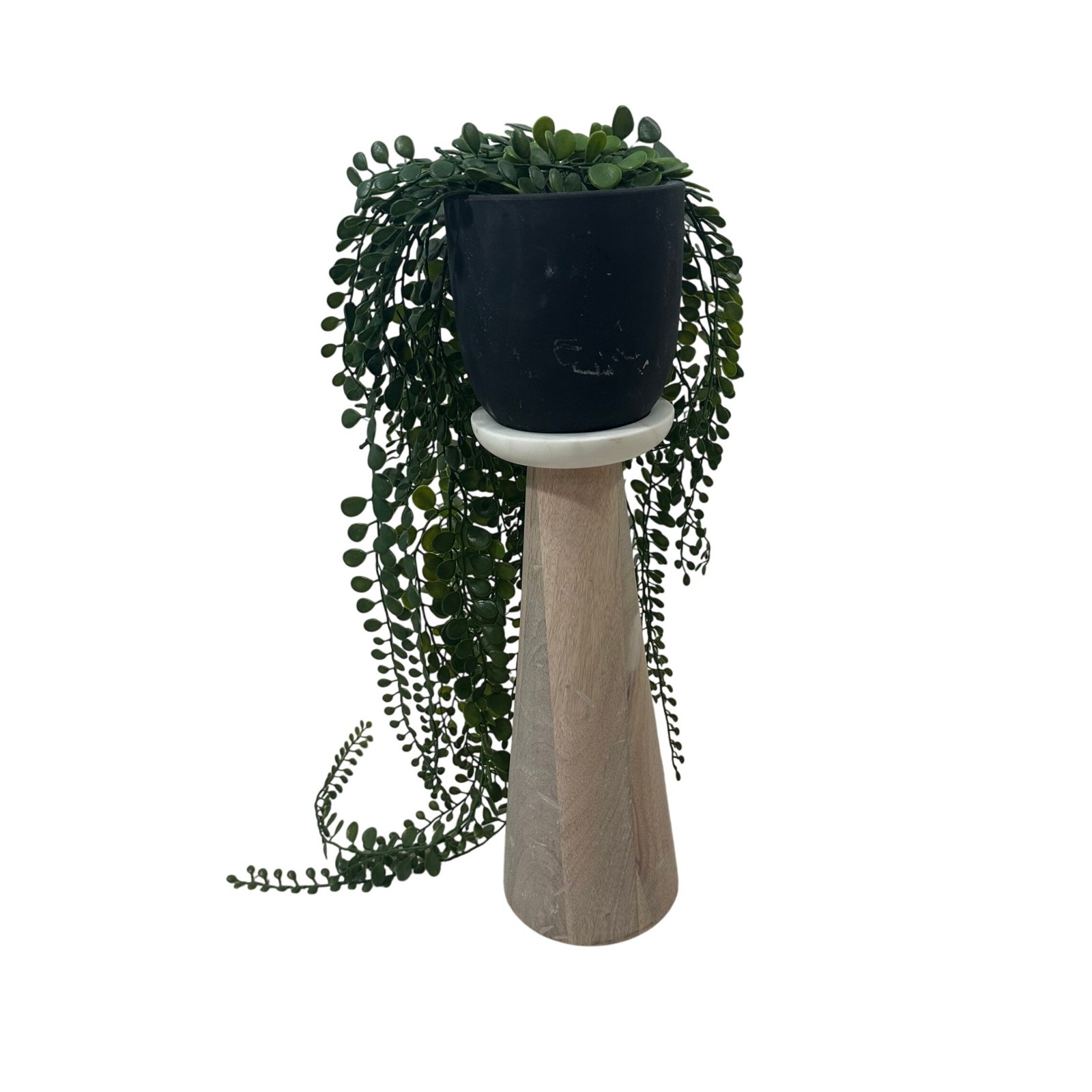 Artificial Trailing Succulent Plant in Black Matte Pot 30 Inch Green Faux Vine