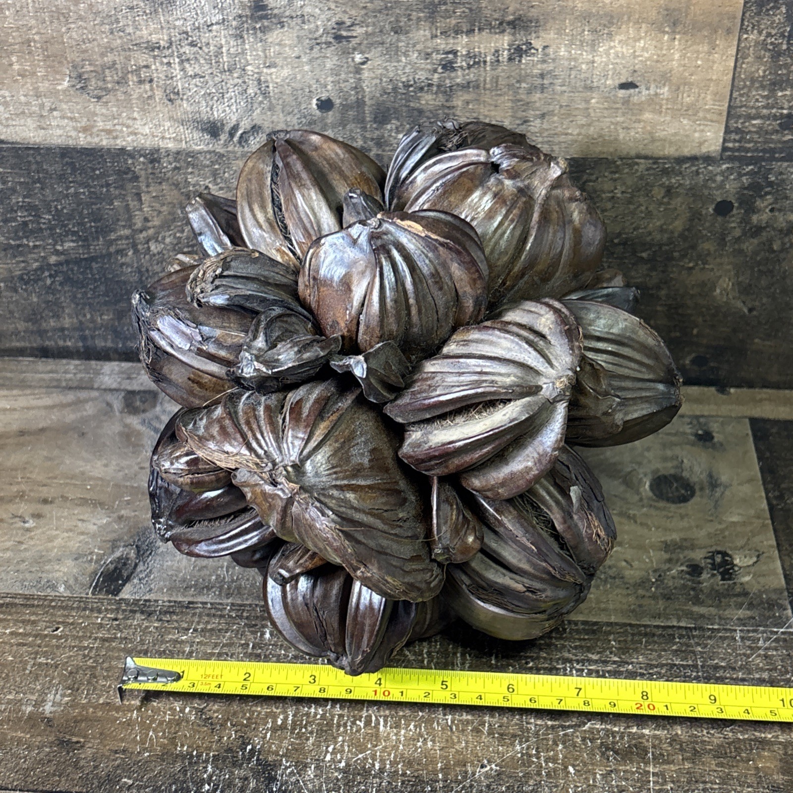 Vietnamese Water Coconut Nipa Palm Fruit Cluster Seed Pod Decor Decoration