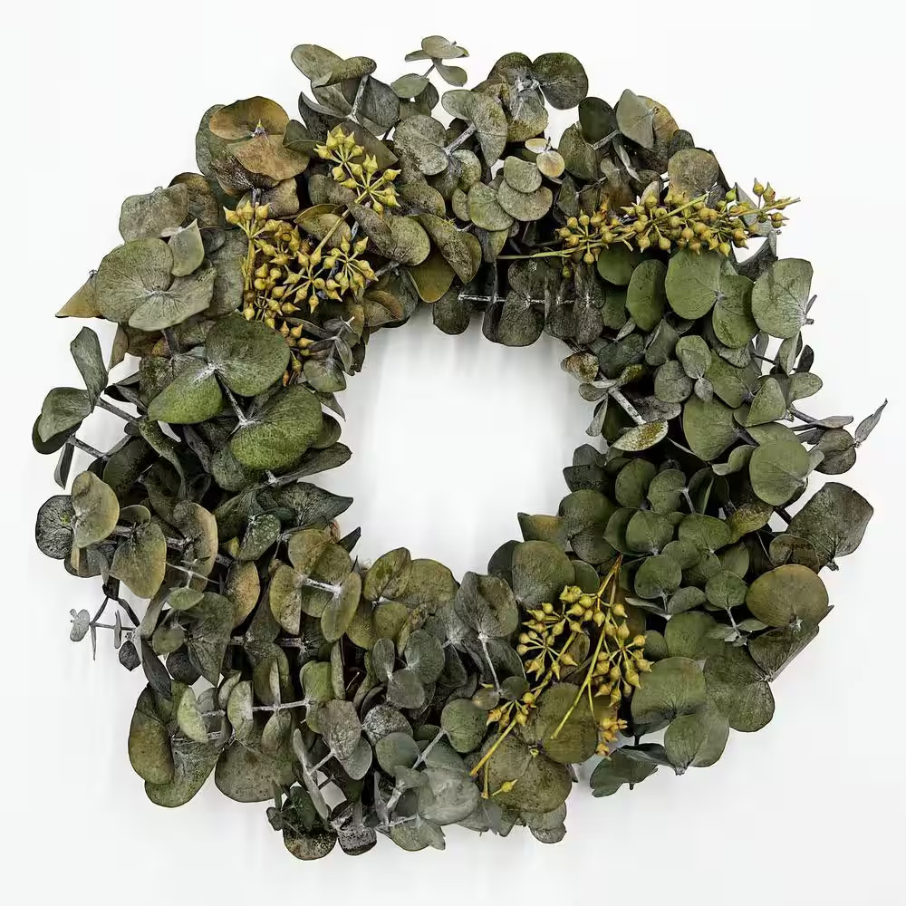 12 In. Non Artificial Preserved Eucalyptus Leaves Wreath