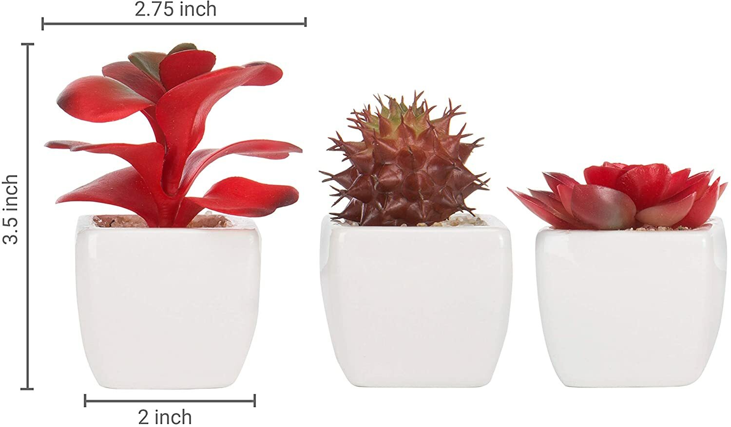 Red Artificial Succulent Plants in White Ceramic Pots, Plant Container, Set of 3