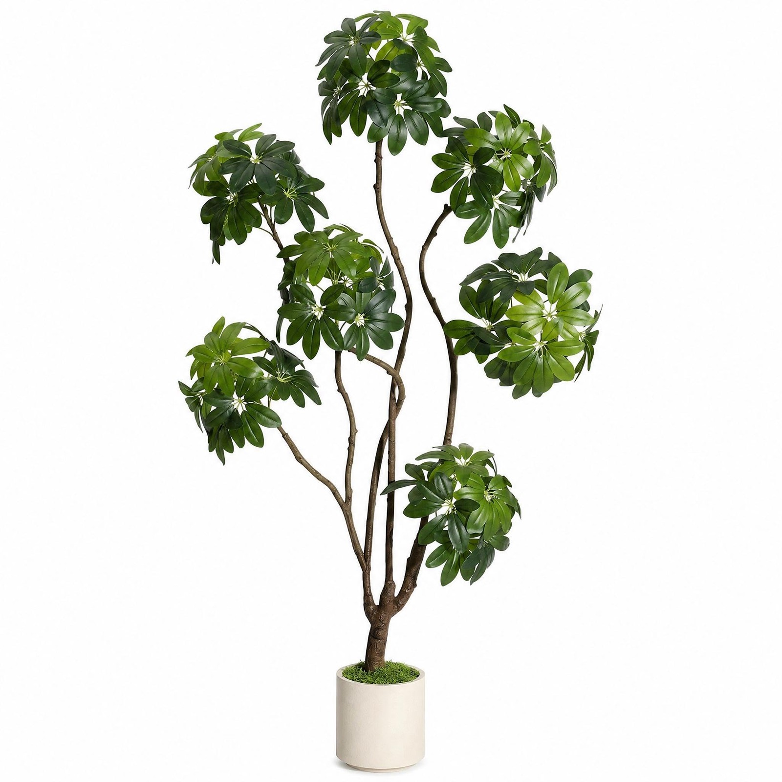 Faux Black Olive Tree 5ft, Faux Floor Plant with White Planter Pot, Multiple …