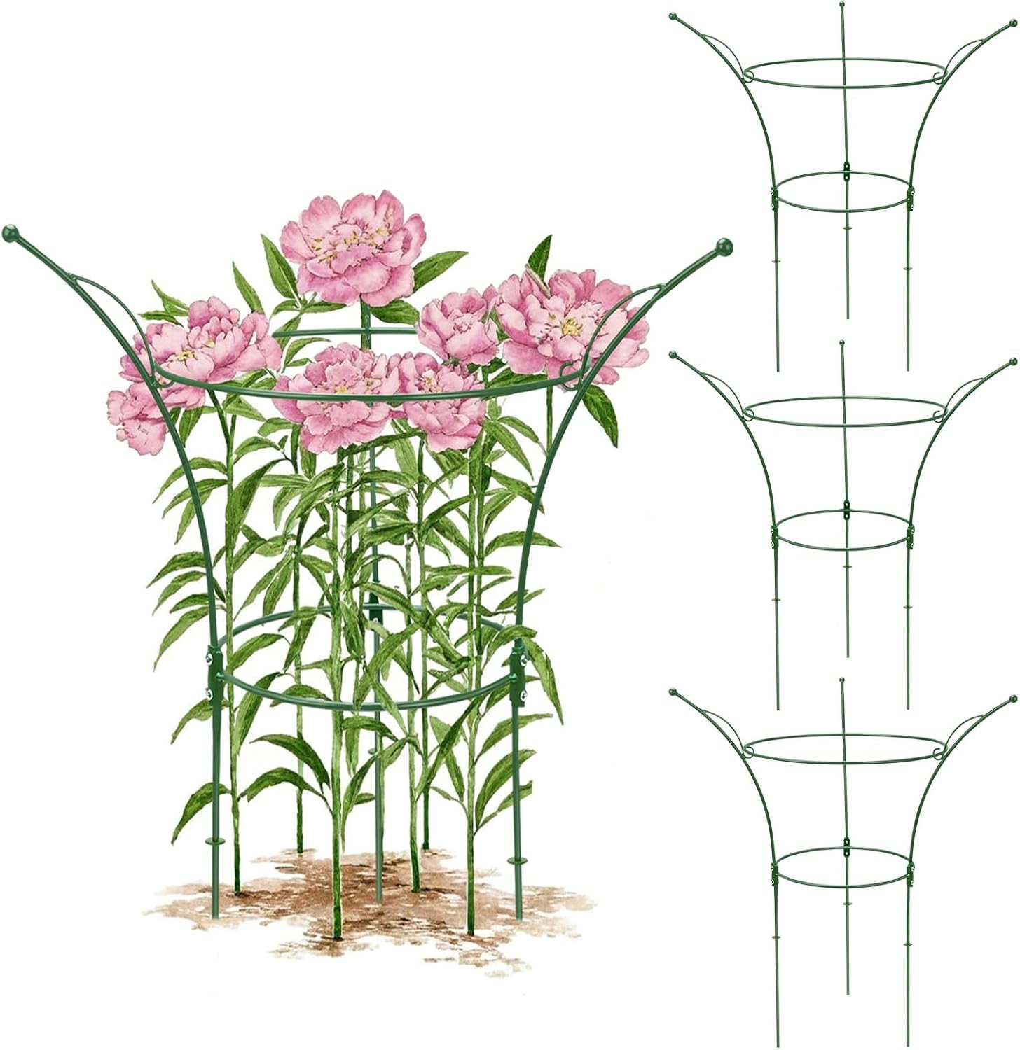 4 Pack Peony Cages & Supports Cages 13″ D x 22.8″ H Heavy Duty Metal Support