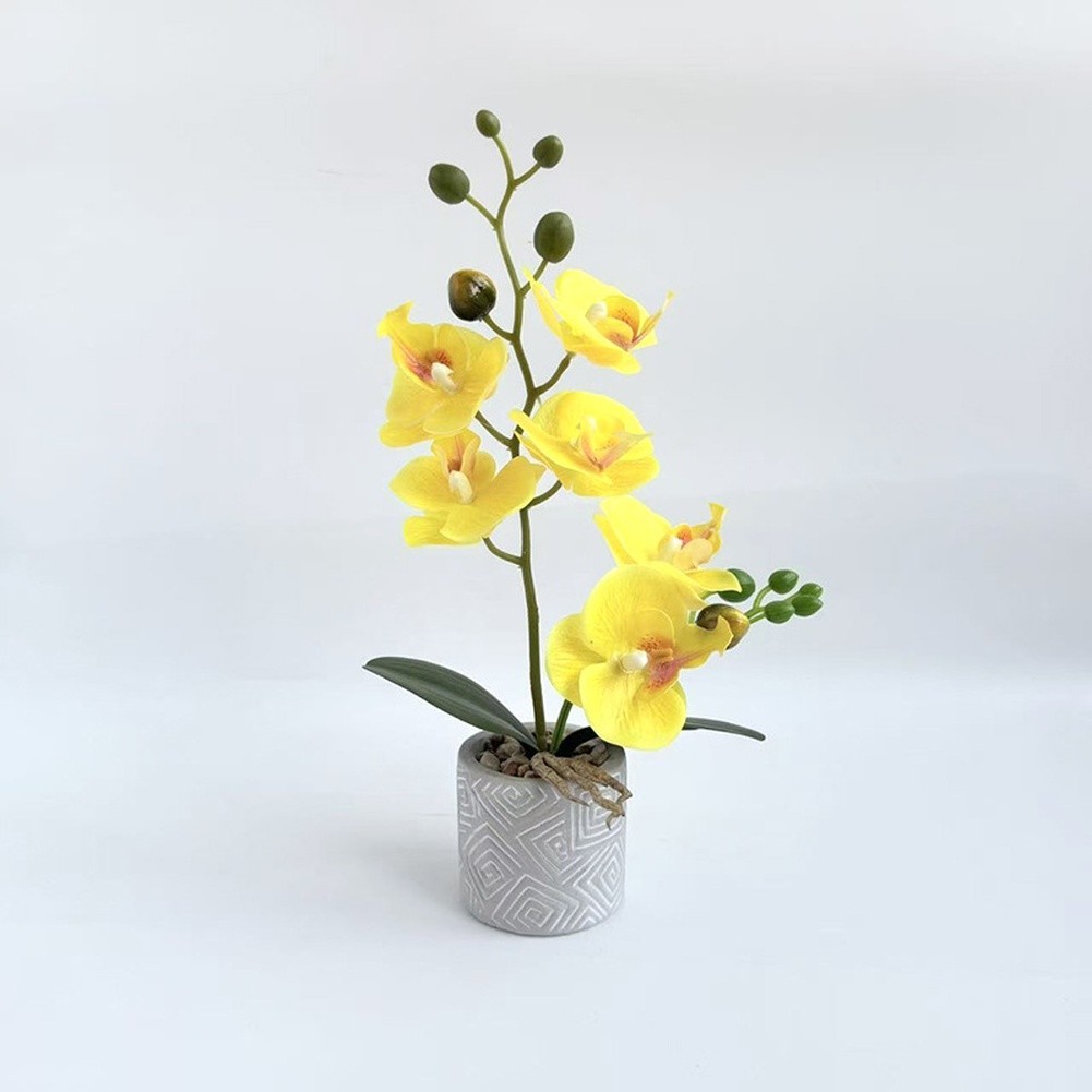 Fake Orchid Flower Plant in Cement Pot for Contemporary For Home Decoration