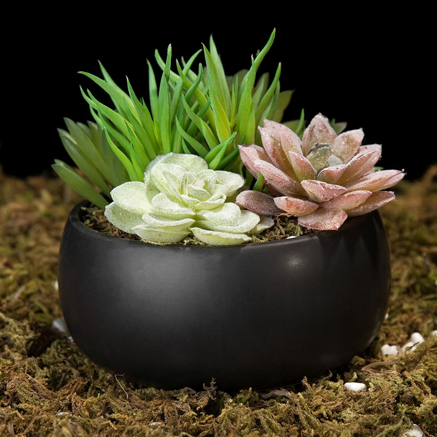Mini Artificial Succulent Arrangement in Black Ceramic Planter Bowl Assortment 3